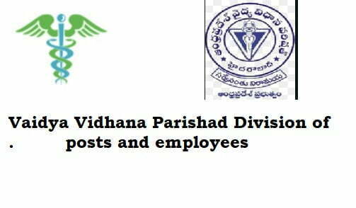 Vaidya Vidhana Parishad Division of posts and employees