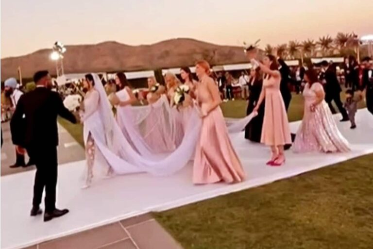 Hardik Pandya-Natasa Stankovic Dance Video