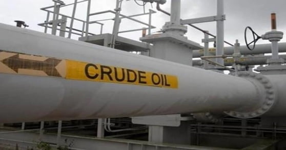 The impact of Russia’s production cut decision on Crude sees surplus and how to avoid long positions