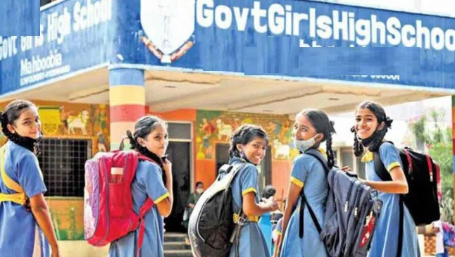 Telangana Patanotsavam in Govt Schools