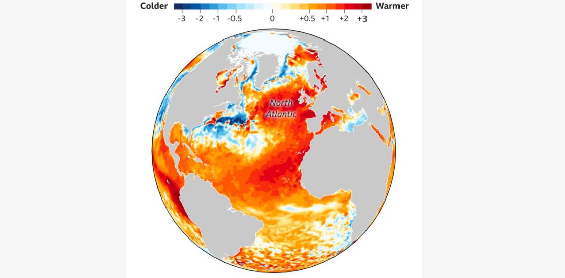 The Impact of Climate Change on Global Biodiversity and Ecosystems