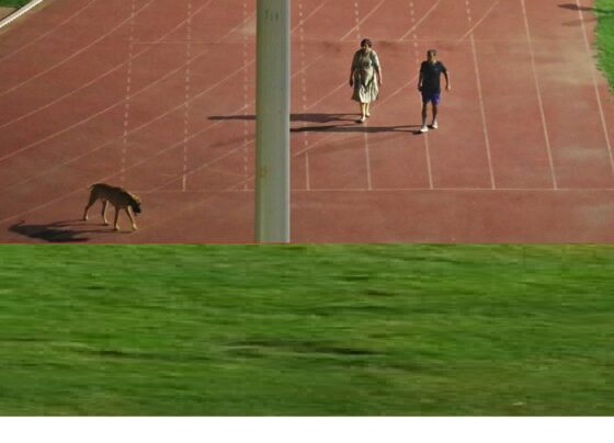 the government has compulsorily retired IAS officer Rinku Dugga, known for her involvement in a controversy surrounding an incident at a stadium. This article delves into the details of Rinku Dugga's career, the controversy that led to her retirement, and the ensuing public reaction. Rinku Dugga: A Brief Overview Rinku Dugga, a 1994-batch AGMUT (Arunachal Pradesh-Goa-Mizoram and Union Territory) cadre officer, gained notoriety due to her actions last year. She, along with her husband Sanjeev Khirwar, who is also a 1994-batch IAS officer, were transferred out of Delhi following an exposé by The Indian Express. The report claimed that athletes at the Thyagraj Stadium were allegedly being compelled to conclude their training sessions prematurely to accommodate the IAS couple's evening walks with their pet dog.