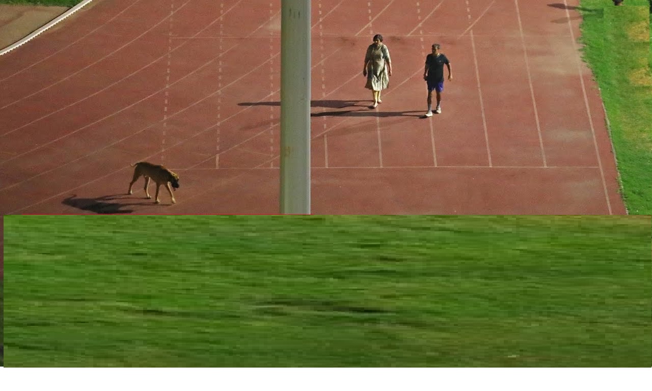 IAS officer Rinku Dugga Retired by Govt