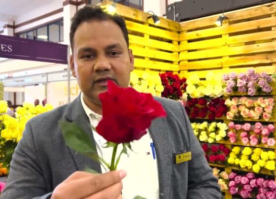 Floral Exhibition by Philipp Von Arx