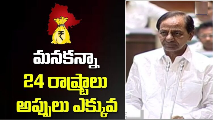 Telangana Debt to GDP Ratio