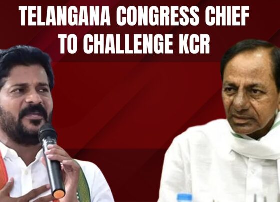 Telangana Polls 2023 Red Alert Constituencies