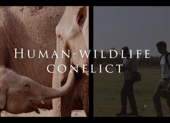 EFS&T Department Wildlife Revision of rates for payment of compensation for various categories of Human Wildlife Conflict