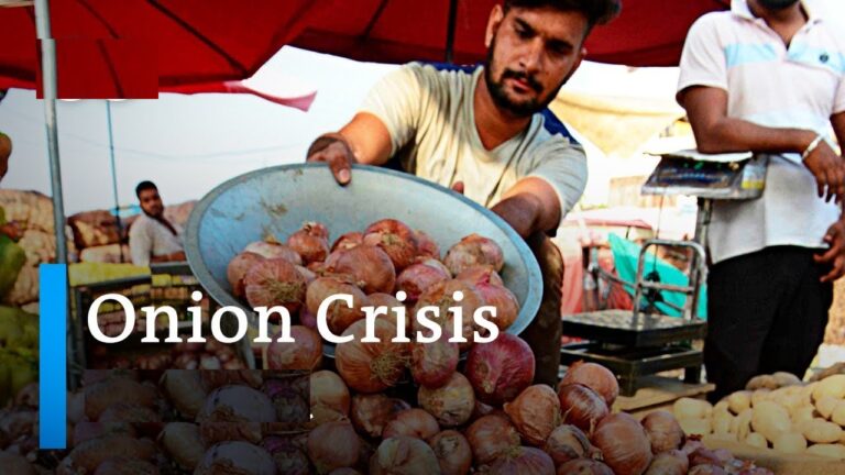 India Bans Onion Export: Understanding the Implications