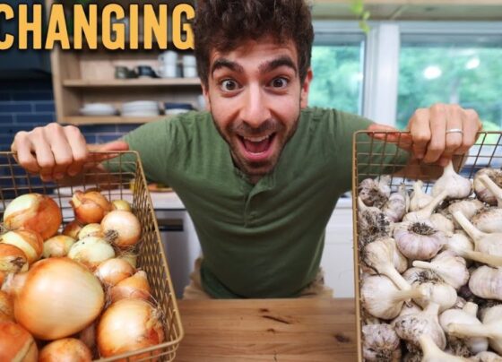 Onion Price Drop to Rs 20 per KG Garlic Price Surge Singh anticipates that the buffer stock will be depleted by late February, leading to an expected reduction in prices to Rs 35 per kilogram. The government envisions further normalization, with prices potentially dropping to Rs 20 by March.