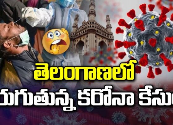 Telangana Covid Cases & South India