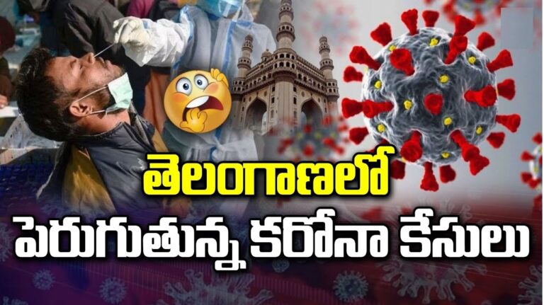 Telangana Covid Cases & South India