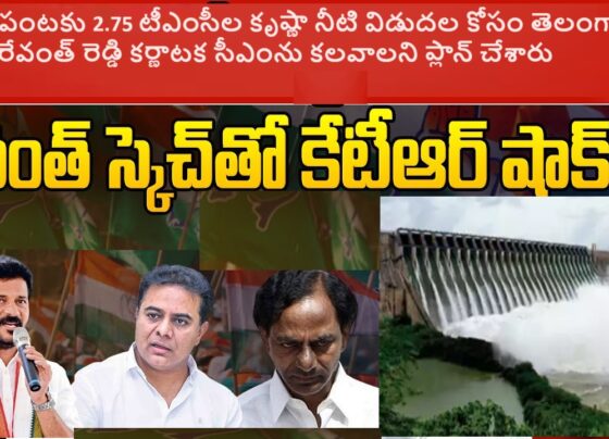 Telangana CM Revanth Reddy's Efforts to Ensure 2.75 tmcft of Krishna Water for Chilli Crop