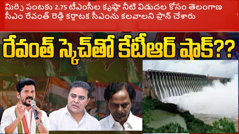 Telangana CM Revanth Reddy's Efforts to Ensure 2.75 tmcft of Krishna Water for Chilli Crop