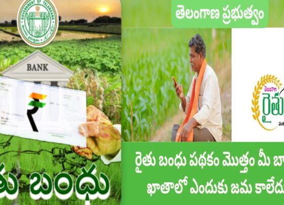 Government's Financial Conundrum In light of a scarcity of funds, the delay in disbursing the Rythu Bandu amounts is attributed to the allocation of resources to various state welfare initiatives. The intricacies of managing multiple welfare schemes have led to a financial bottleneck affecting the timely release of funds earmarked for farmers. Allocation Details