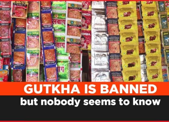 Historical Context History of Gutka and Pan Masala in India Gutka and Pan Masala have a long history in India, with their roots traced back to traditional chewing practices involving betel leaves, areca nut, and lime. These practices evolved over time, and in the late 20th century, Gutka and Pan Masala emerged as commercial products. The convenience and aggressive marketing of these products led to their widespread popularity, particularly among youth and lower-income groups. Previous Bans and Regulations Before Telangana's ban, several other Indian states had attempted to regulate or ban Gutka and Pan Masala. These efforts were often met with mixed results due to challenges in enforcement and the influence of the tobacco industry. Notable examples include Maharashtra and Bihar, which implemented similar bans but faced significant hurdles in achieving full compliance. Development of Anti-Tobacco Movements The rise of anti-tobacco movements in India played a crucial role in creating a supportive environment for bans like the one in Telangana. These movements, driven by health professionals, NGOs, and public health advocates, highlighted the severe health consequences of tobacco consumption and advocated for stricter regulations. Their efforts have been instrumental in shaping public opinion and policy. Health Risks Associated with Gutka and Pan Masala Ingredients and Their Effects The primary ingredients in Gutka and Pan Masala include areca nut, slaked lime, catechu, paraffin wax, and various flavorings. The addition of tobacco in Gutka significantly increases its harmful effects. Areca nut itself is a Group 1 carcinogen according to the International Agency for Research on Cancer (IARC), meaning it has been conclusively linked to cancer in humans. The combination of these ingredients leads to a highly addictive product with serious health implications. Short-Term Health Effects Short-term consumption of Gutka and Pan Masala can lead to immediate health issues such as oral ulcers, tooth decay, and gum disease. Users often experience bad breath, staining of teeth, and an overall decline in oral hygiene. Additionally, the stimulant effects of areca nut and nicotine can cause increased heart rate and blood pressure, leading to cardiovascular stress. Long-Term Health Effects Long-term use of Gutka and Pan Masala is associated with a range of severe health problems. These include cancers of the mouth, esophagus, and pancreas. Chronic users are also at risk of developing submucous fibrosis, a condition that can lead to difficulty in opening the mouth and swallowing. Other long-term effects include cardiovascular diseases, respiratory issues, and complications during pregnancy for women. Case Studies of Health Impacts Numerous case studies illustrate the devastating health impacts of Gutka and Pan Masala. For example, a study conducted in the Indian state of Gujarat found a high prevalence of oral cancer among Gutka users. Another study in Maharashtra highlighted the significant burden of oral health problems among young users, indicating an urgent need for public health interventions. The Legislative Process The Role of Telangana Government The Telangana government played a pivotal role in enacting the ban on Gutka and Pan Masala. This involved coordinated efforts between the health department, law enforcement agencies, and various stakeholders. The government undertook extensive consultations to design an effective and enforceable policy. Legal Framework for the Ban The legal framework for the ban was established under the provisions of the Food Safety and Standards (Prohibition and Restrictions on Sales) Regulations, 2011. This provided a robust legal basis for the ban, allowing for stringent penalties and measures to curb the production and distribution of these products. The framework also included provisions for regular monitoring and evaluation. Implementation Strategies The implementation of the ban involved multiple strategies. These included public awareness campaigns, strict enforcement measures, and regular inspections of manufacturing and retail units. The government also set up a dedicated helpline for reporting violations and engaged in continuous dialogue with community leaders to ensure widespread compliance. Socio-Economic Impact Impact on Manufacturers The ban had a significant impact on manufacturers of Gutka and Pan Masala. Many small and medium enterprises faced financial losses and were forced to shut down operations. Larger companies had to pivot their business models and explore alternative products. The economic impact on this sector was considerable, with job losses and reduced revenue. Impact on Consumers Consumers, particularly habitual users, faced challenges in adapting to the ban. While the ban aimed to protect public health, it also necessitated support systems for those struggling with addiction. Many users experienced withdrawal symptoms and sought alternative ways to cope with their dependency, highlighting the need for comprehensive cessation programs. Economic Implications for the State Economically, the ban posed both challenges and opportunities for Telangana. While the state incurred costs related to enforcement and public health campaigns, it also anticipated long-term savings in healthcare expenditure due to reduced tobacco-related illnesses. Additionally, the ban could potentially attract public health funding and partnerships from national and international organizations. Public Response and Awareness Initial Public Reaction The initial public reaction to the ban was mixed. While health advocates and non-users largely supported the ban, habitual users and some business owners expressed resistance. There were concerns about the effectiveness of the ban and its impact on personal freedom and economic livelihoods. Awareness Campaigns To address public concerns and promote compliance, the Telangana government launched extensive awareness campaigns. These campaigns included advertisements, community outreach programs, and educational initiatives in schools and colleges. The aim was to inform the public about the health risks of Gutka and Pan Masala and the benefits of the ban. Public Opinion and Surveys Surveys conducted post-ban indicated a gradual shift in public opinion. As awareness increased, more people began to support the ban and recognize its importance for public health. Surveys also revealed a reduction in the number of new users, suggesting a positive trend towards decreased consumption of these harmful products. Enforcement and Compliance Strategies for Enforcement Effective enforcement of the ban required a multi-faceted approach. This included regular inspections of manufacturing units, retail outlets, and transportation channels. The government also leveraged technology, such as mobile apps, to facilitate public reporting of violations. Collaboration with law enforcement agencies ensured swift action against offenders. Challenges Faced Enforcement faced several challenges, including resistance from manufacturers and traders, smuggling of banned products from neighboring states, and the need for continuous monitoring. Corruption and lack of resources in some areas further complicated enforcement efforts. Despite these challenges