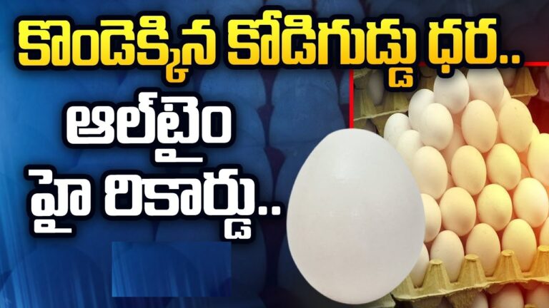 The Rising Cost of Eggs in Hyderabad: A Pocket Pinch for Consumers Understanding the Surge in Egg Prices In recent times, residents of Hyderabad have been facing a significant rise in the cost of eggs, a staple in many households. What used to be an affordable commodity has now become a burden on the pocket. Let's delve into the factors contributing to this surge. Last Year's Comparison On May 4 last year, the price for 100 units of eggs stood at Rs 420. However, fast forward to this year, and the cost has escalated to Rs 445. This notable increase within a year's time frame raises concerns among consumers. Factors Driving the Price Hike Market experts point towards several factors fueling this upward trend. The foremost among them is the shortage in the supply of eggs in Hyderabad. This scarcity has led to a surge in prices, leaving consumers grappling with the financial impact.