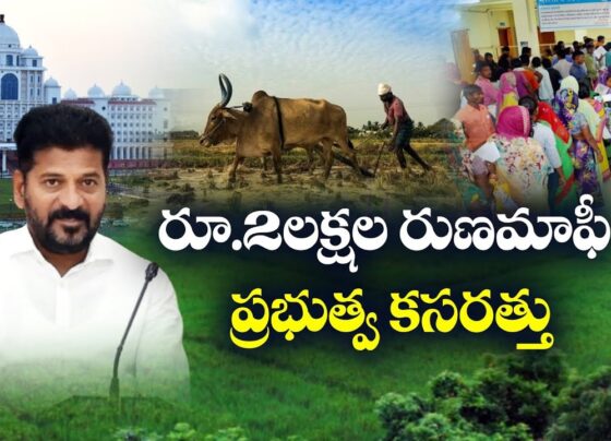 Crop Loan Waiver Scheme: Eligibility Criteria and Implementation Plans The state government is diligently working on the implementation strategies for the crop loan waiver scheme, aimed at waiving loans up to ₹2 lakhs before August 15th. This initiative primarily targets eligible farmers while excluding specific groups such as taxpayers and employees. Exclusion of Taxpayers and Employees Proposals have been submitted to the government, suggesting that taxpayers, employees, MPs, MLAs, and MLCs should be excluded from the loan waiver scheme. The final decision will be made after a comprehensive discussion in the Cabinet. Detailed Plan for Implementation Officials are preparing a list of individuals who have taken loans up to ₹2 lakhs from banks, as directed by the government. This list is expected to be completed within the next few days. In the meantime, the Agriculture Department is conducting an extensive study based on various criteria to determine the eligibility of beneficiaries.