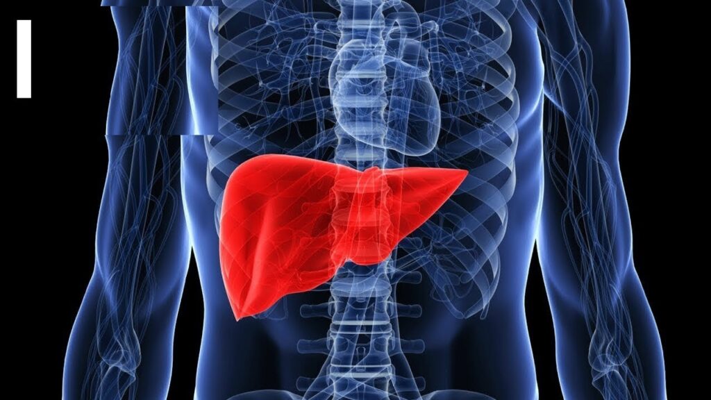 Unique record: Cadaver liver transplants save two lives in one day in Hyderabad