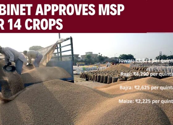 In a landmark decision, the Union Cabinet has approved the minimum support price (MSP) for 14 key crops, ensuring a price that is at least 1.5 times the cost of production. This move is aimed at providing substantial financial relief to farmers as the Kharif (summer) sowing season begins. The MSP for paddy has seen a notable increase of ₹117, announced Information and Broadcasting Minister Ashwini Vaishnaw during a Cabinet briefing. Significance of the MSP Approval The decision to revise the MSP comes at a crucial time, ahead of the Assembly polls in states like Haryana, Maharashtra, and Jharkhand. Farmers have been demanding a legal guarantee for MSP, and this decision addresses those demands, which have led to large-scale protests in the past. Prime Minister Narendra Modi has consistently emphasized the welfare of farmers. Minister Vaishnaw highlighted that the first decision of the third term of the current government was dedicated to farmers. The latest Cabinet meeting also prioritized farmer welfare by approving the MSP for 14 crops for the Kharif season. Breakdown of MSP Increases Paddy and Cotton The MSP for paddy has been increased by 5.35%, or ₹117, setting the new price at ₹2,300 per quintal. This is a significant rise from the ₹1,310 per quintal in 2013-14. For cotton, the MSP for the normal variety has been set at ₹7,121, and for a higher variety, it is ₹7,521, reflecting a ₹510 increase from the previous MSP. Millets and Pulses Millets have gained special attention, with MSPs set as follows: Jowar: ₹3,371 per quintal Ragi: ₹4,290 per quintal Bajra: ₹2,625 per quintal Maize: ₹2,225 per quintal Among pulses, the MSP for moong is now ₹8,682, tur at ₹7,550 (a ₹550 increase), and urad at ₹7,400. Oilseeds Oilseeds have also seen a hike, with significant increases in the MSP for sunflower and groundnut, ensuring better returns for farmers cultivating these crops. Ensuring Fair Pricing The decision aligns with the 2018 Union Budget policy, which mandated that the MSP should be at least 1.5 times the cost of production. This pricing strategy has been scientifically established through a study by the Commission for Agricultural Costs and Prices, conducted across various districts and tehsils nationwide. Additional Support for Farmers In addition to the MSP increase, the Prime Minister has released ₹20,000 crore as part of the 17th installment of the Kisan Samman Nidhi. This income support scheme provides farmers with up to ₹6,000 per year, further bolstering their financial stability. Impact on Farmers and the Agricultural Sector The approval of the revised MSP is expected to have a substantial positive impact on farmers' income and the overall agricultural sector. By ensuring that farmers receive fair compensation for their produce, the government aims to reduce financial distress and promote sustainable farming practices. This move also encourages farmers to invest in better farming techniques and resources, ultimately leading to increased productivity and improved crop quality. Conclusion The Union Cabinet's decision to approve the MSP for 14 crops, ensuring a price that is 1.5 times the cost of production, marks a significant step towards supporting and empowering farmers. With notable increases in the MSP for paddy, cotton, millets, pulses, and oilseeds, this move addresses the long-standing demands of the farming community and aligns with the government's commitment to their welfare. As the Kharif season begins, farmers can look forward to better financial returns and a more secure future.
