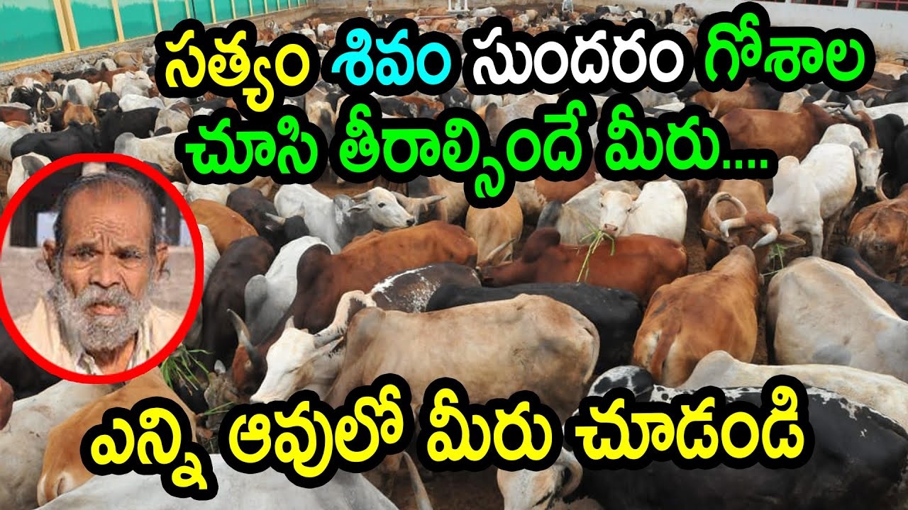 Hyderabad Welcomes One of India’s Largest Veterinary Hospitals Maa Saraswathi