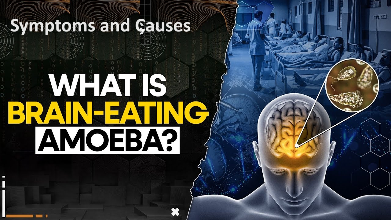 Brain Eating Amoeba Deaths in Asia Raise Alarm