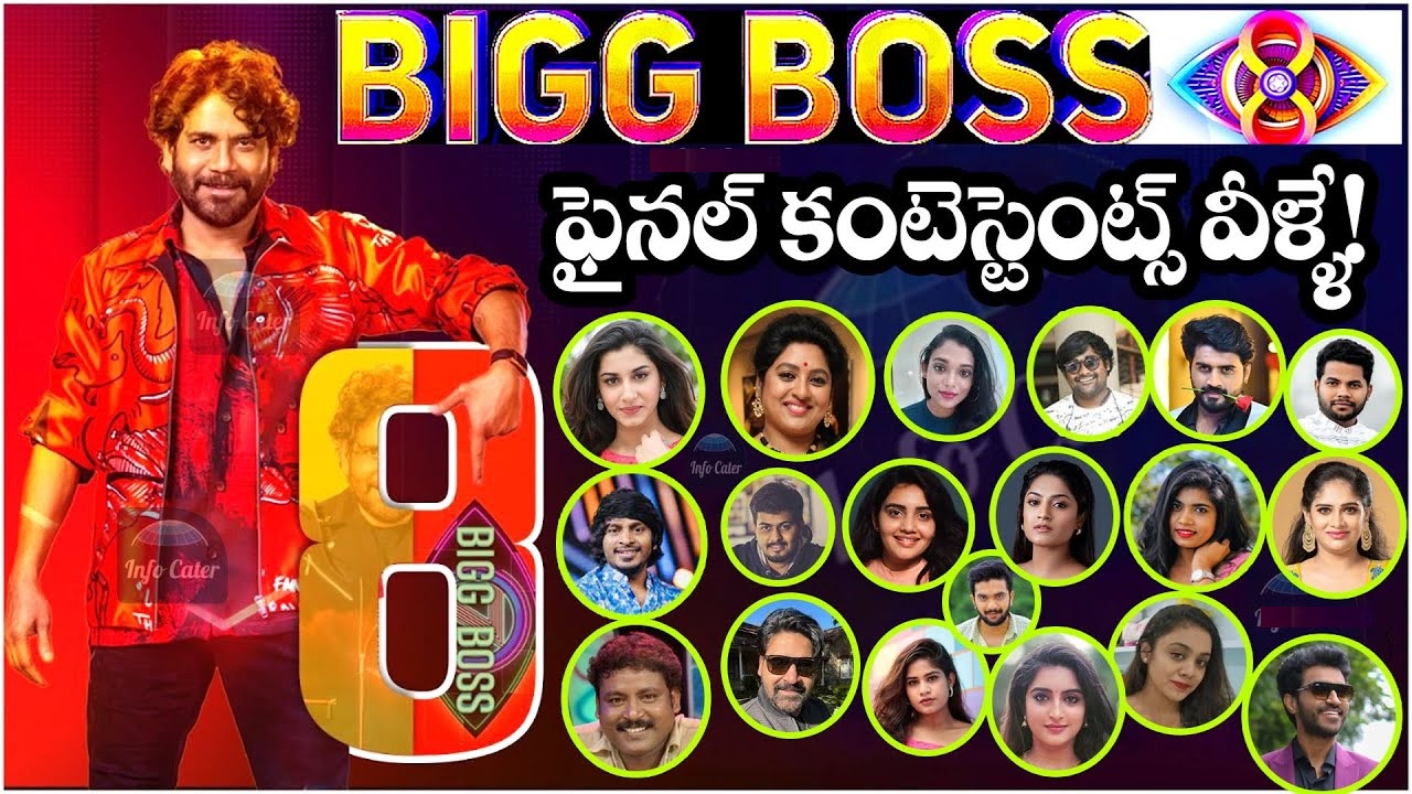 Bigg Boss 8 Telugu Contestants Names 2024
