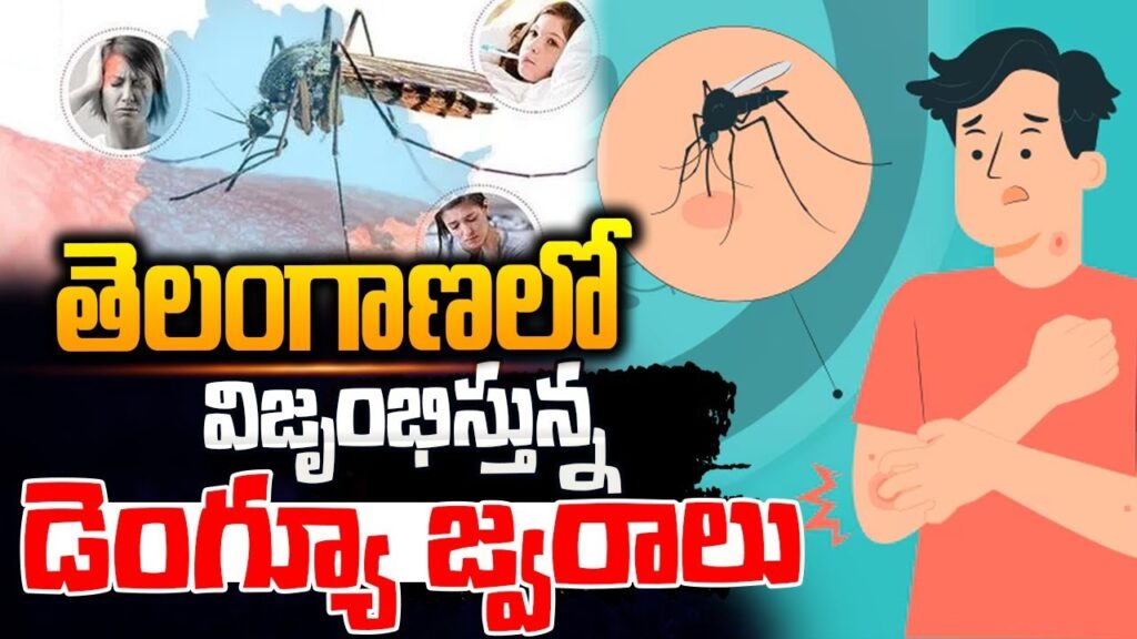 The onset of the monsoon season in Telangana has brought a sharp rise in seasonal diseases, particularly dengue, chikungunya, and malaria. During August and September, these vector-borne diseases have seen a significant spike, prompting immediate action from the state government. The Health Minister of Telangana, Damodar Rajanarshimha, held a critical review meeting to assess the situation and released alarming statistics covering the period from January 1 to August 30, 2024. Dengue Cases Reach Alarming Levels Dengue has emerged as the most widespread and concerning illness in Telangana, with a reported 6,242 cases out of 106,356 samples tested, reflecting a positivity rate of 6%. Hyderabad remains the epicenter of this surge, accounting for 2,073 cases. Other districts with significant dengue activity include Suryapet (506 cases), Medchal-Malkajgiri (475 cases), Khammam (407 cases), and Nizamabad (362 cases). The high-risk areas have seen increased monitoring and intervention as the state grapples with this health challenge. Chikungunya and Malaria: The State’s Ongoing Battle While dengue cases dominate the headlines, chikungunya and malaria continue to be areas of concern. Chikungunya cases have been comparatively lower, with 167 reported cases from 3,127 samples tested, leading to a positivity rate of 5%. The most affected districts include Hyderabad (74 cases), Mahabubnagar (20 cases), and Wanaparthy (17 cases). Malaria, though showing a minimal positivity rate of 0.01%, still presents a health risk, with 197 cases reported from over 2.8 million samples tested. The low incidence rate of malaria is a relief, but constant vigilance is necessary to prevent any potential outbreak, especially during the monsoon. Extensive Fever Surveys and Proactive Measures In response to the surge in dengue and other seasonal diseases, the Telangana government initiated an extensive fever survey starting from July 23, 2024. This large-scale effort has covered over 1,68,42,891 households, screening more than 5,17,19,839 individuals. Through these surveys, nearly 2,99,708 fever cases have been identified, which are now under close observation. To combat the spread of these diseases, the state government has intensified anti-mosquito measures, including regular fogging, spraying, and anti-larval operations, particularly in high-risk districts. These efforts are complemented by door-to-door awareness campaigns aimed at educating the public on preventive measures against mosquito-borne illnesses. Additionally, the state has operationalized 42 T-Hub Labs for testing and ensured that 53 blood banks are prepared to meet the demand for blood transfusions, a critical need for severe dengue cases. Government’s Comprehensive Response to the Health Crisis Health Minister Damodar Rajanarshimha has been at the forefront of Telangana's response to this health crisis. On August 31, he led a meeting with top health officials to assess the state’s preparedness and reviewed the data on dengue, chikungunya, and malaria. The discussions highlighted the increasing risk of these vector-borne diseases during the monsoon season and the necessity of continued vigilance. The health department has conducted multiple surveys at regular intervals to pinpoint high-risk areas for dengue. The collected data has guided targeted interventions, such as the deployment of Rapid Response Teams. Upon confirmation of a dengue-positive case, these teams conduct immediate fogging, spraying, and anti-larval activities in the surrounding 50 houses. They also carry out door-to-door screening for symptomatic individuals, collect blood samples, and organize medical camps in affected areas. Looking Ahead: Strengthening Health Infrastructure As Telangana continues to battle this surge in seasonal diseases, the importance of a robust health infrastructure cannot be overstated. The government’s proactive measures, including the operationalization of 108 ambulances in all 33 districts and the availability of medicines and logistics for malaria, underscore the state’s commitment to managing this public health crisis. The monsoon season, while bringing much-needed relief from the heat, also brings with it the challenge of increased vector-borne diseases. Telangana’s response to the current dengue surge highlights the need for continuous public health vigilance and the implementation of effective preventive measures. The state’s efforts to monitor, control, and ultimately reduce the incidence of these diseases will be critical in ensuring the health and safety of its population.
