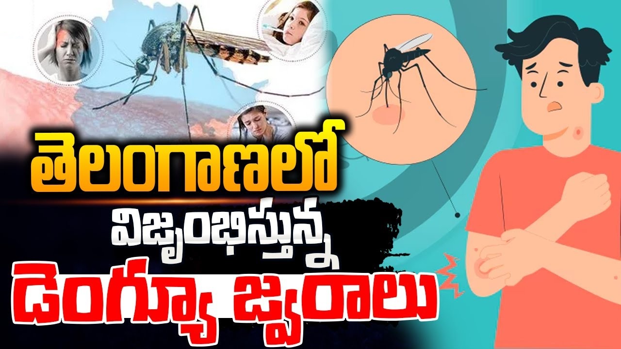 Telangana Monsoon Alarming Increase in Dengue and Other Diseases