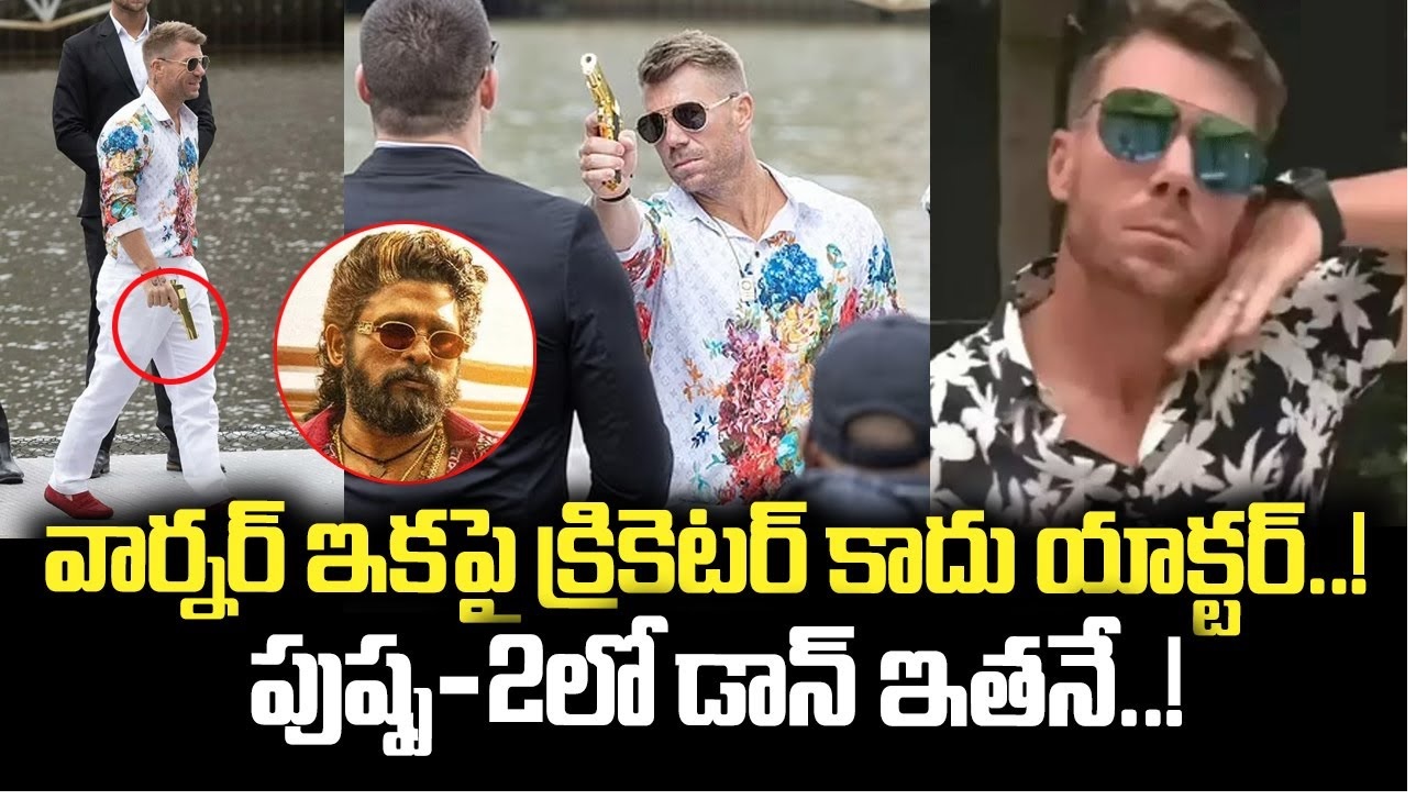 David Warner Cameo in Pushpa 2