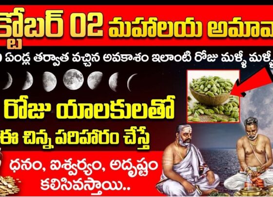 Mahalaya Amavasya, also known as Sarva Pitri Amavasya, holds deep religious significance in Hindu culture. Observed as one of the holiest days, this occasion is devoted to performing rituals that bring peace and salvation to the souls of one’s ancestors. Although every Amavasya (New Moon) is special for ancestor worship, the Amavasya during Pitru Paksha carries particular importance. In 2024, Mahalaya Amavasya will fall on October 2, marking the end of the 16-day period known as Pitru Paksha. Mahalaya Amavasya 2024: Date and Time In 2024, the Mahalaya Amavasya begins on October 1 at 9:39 PM and concludes on October 3 at 12:18 AM. Rituals during this period are of utmost importance, especially during the following key muhurats (auspicious times): Qutup Muhurta: From 11:12 AM to 12:00 PM Rauhin Muhurta: From 12:00 PM to 12:47 PM Additionally, the time between 12:47 PM and 3:11 PM is also considered ideal for performing the necessary rites for ancestors. The Spiritual Significance of Mahalaya Amavasya Mahalaya Amavasya is known by several names, including Sarva Pitri Amavasya, Pitra Moksha Amavasya, and Pitru Amavasya. This particular day holds unique importance in the Hindu calendar, as it is the final day of Pitru Paksha. Pitru Paksha, the 16-day period of paying homage to ancestors, culminates on Mahalaya Amavasya. This occasion also heralds the beginning of Navratri, the nine-day festival dedicated to worshipping Goddess Durga. On this day, people seek the blessings of their departed loved ones by performing pujas and other sacred rituals. It is common to offer pind daan (offerings of food to the ancestors) and pitru tarpan (libations of water to appease the ancestors). Devotees also invite Brahmins into their homes to feed them, provide them with clothes, and make other offerings. By doing so, they believe they are ensuring peace for the souls of their ancestors and, in return, invoking blessings for themselves and their families. Rituals of Mahalaya Amavasya 2024 The rituals of Mahalaya Amavasya are highly specific and must be performed with devotion to bring the desired outcomes. Here are some of the key rituals observed on this day: Holy Bath and House Cleaning Devotees wake up early in the morning and take a holy bath, symbolizing purification. They also clean their homes thoroughly as a gesture of respect and readiness to welcome the ancestors. Offering Prayers to Lord Surya (Sun God) Prayers are offered to Lord Surya, the Sun God, as he is believed to carry the offerings made on Earth to the ancestors in the afterlife. Preparation of Sattvik Food On this day, only sattvik (pure, vegetarian, and wholesome) food is prepared and offered to the ancestors. The food typically includes items like kheer, rice, dal, and other non-spicy dishes. Inviting Brahmins for Meals It is customary to invite Brahmins into the home and offer them food, clothes, and dakshina (monetary gifts). The Brahmin's blessings are seen as equivalent to the blessings of the ancestors themselves. Feeding Cows, Dogs, Ants, and Crows On Mahalaya Amavasya, it is traditional to feed animals such as cows, dogs, ants, and especially crows, which are considered representatives of the ancestors. The feeding of crows, in particular, is believed to directly benefit the souls of one’s forefathers. Tarpan Rituals The tarpan ceremony is a key part of the day’s rituals. Male members of the family, guided by a Brahmin, perform this ritual by offering water mixed with black sesame seeds, barley, and kusa grass to the departed souls. This offering is believed to help relieve the ancestors from any form of suffering and grant them peace in the afterlife. Offering Food and Clothes After the tarpan ceremony, food and clothes are offered to the invited Brahmin, who then blesses the family. It is only after the Brahmin has eaten that the family members partake in the meal. The Importance of Mahalaya Amavasya in Hindu Tradition Mahalaya Amavasya is not only about appeasing the departed souls; it is also a day of introspection and gratitude. Hindus believe that by remembering their ancestors and performing these rituals, they fulfill their duty of pitru rin (the debt to one’s ancestors). This ensures that the family receives blessings for health, prosperity, and happiness in return. The day also holds great significance in preparing for the upcoming Navratri celebrations. After paying homage to the ancestors, devotees turn their attention to the worship of Goddess Durga. This transition from ancestral worship to the celebration of divine feminine energy marks a crucial shift in the spiritual calendar. Conclusion: Mahalaya Amavasya 2024 – A Day of Deep Spiritual Connection Mahalaya Amavasya in 2024 will offer millions of devotees an opportunity to honor their ancestors and seek their blessings. By performing rituals like pind daan, pitru tarpan, and feeding Brahmins, devotees believe they help their ancestors attain salvation and peace. Observing these rituals also allows families to experience spiritual fulfillment and pave the way for happiness, prosperity, and divine grace. As the gateway to Navratri, Mahalaya Amavasya is a deeply meaningful day that brings together both the past and the future, blending ancestor worship with the celebration of the divine.