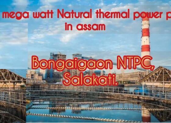 NTPC Bongaigaon Honored with News 18's Green Ribbon Champions Award 2024: A Sustainability Champion of the North East NTPC Bongaigaon has achieved significant recognition by being awarded the prestigious News 18’s Green Ribbon Champions Award 2024 as the "Sustainability Champion of North East." The award was presented at a special event held in New Delhi on September 25, 2024. This accolade is a testament to the power plant's unwavering commitment to environmental sustainability, exceptional plant performance, and impactful Corporate Social Responsibility (CSR) initiatives. A Testament to NTPC Bongaigaon's Sustainability Leadership NTPC Bongaigaon has long been a beacon of environmentally responsible practices in the Bodoland Territorial Region and the greater Northeastern states of India. By winning this esteemed award, the power station solidifies its position as a leader in sustainability and environmental conservation. From minimizing emissions to implementing renewable energy solutions, NTPC Bongaigaon continuously strives to reduce its carbon footprint and foster long-term ecological balance. Recognizing Excellence in CSR and Environmental Initiatives The Green Ribbon Champions Award is not just a recognition of NTPC Bongaigaon’s technical achievements but also its commitment to the community. The power station’s CSR initiatives in the Bodoland Territorial Region are aimed at improving the livelihoods of local residents and contributing to regional development. These programs range from healthcare and education to infrastructural development and environmental awareness campaigns, all of which underscore NTPC Bongaigaon’s dedication to both sustainability and social responsibility. Award Ceremony Highlights At the award ceremony, Akhilesh Singh, the Business Unit Head of NTPC Bongaigaon, and Onkar Nath, the Head of HR, represented the plant and received the award on behalf of the team. The award was presented by Ms. Gul Panag, a well-known actor and sustainability activist, known for her advocacy in environmental protection. The ceremony was further elevated by the presence of Rakesh Singh, the Hon’ble Minister of Public Works Department, Government of Madhya Pradesh, who graced the event with his support for sustainability efforts. Driving Sustainable Development in the North East NTPC Bongaigaon’s operations extend far beyond power generation. The plant actively participates in promoting sustainable development through renewable energy initiatives, waste management practices, and efficient resource utilization. The power station continuously monitors its environmental impact, ensuring that all operations align with the broader goals of ecological preservation and community well-being. By focusing on reducing emissions and improving energy efficiency, NTPC Bongaigaon is setting new benchmarks in the power sector. The plant has introduced innovative technologies to mitigate pollution and reduce its dependence on conventional energy sources. Additionally, NTPC Bongaigaon collaborates with local communities to raise awareness about the importance of sustainability, creating a ripple effect that positively impacts the entire region. Strengthening Regional Development through CSR NTPC Bongaigaon’s contribution to the Bodoland Territorial Region is not limited to environmental efforts. Its CSR initiatives are equally commendable, targeting the social and economic upliftment of the surrounding communities. The plant supports various educational programs, vocational training, healthcare services, and infrastructure development projects. By providing local employment opportunities and enhancing quality of life, NTPC Bongaigaon plays a pivotal role in regional progress.