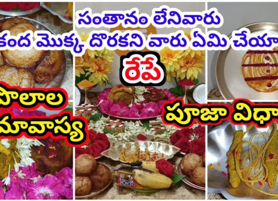 Polala Amavasya 2024 Pooja Vidhanam and Rituals