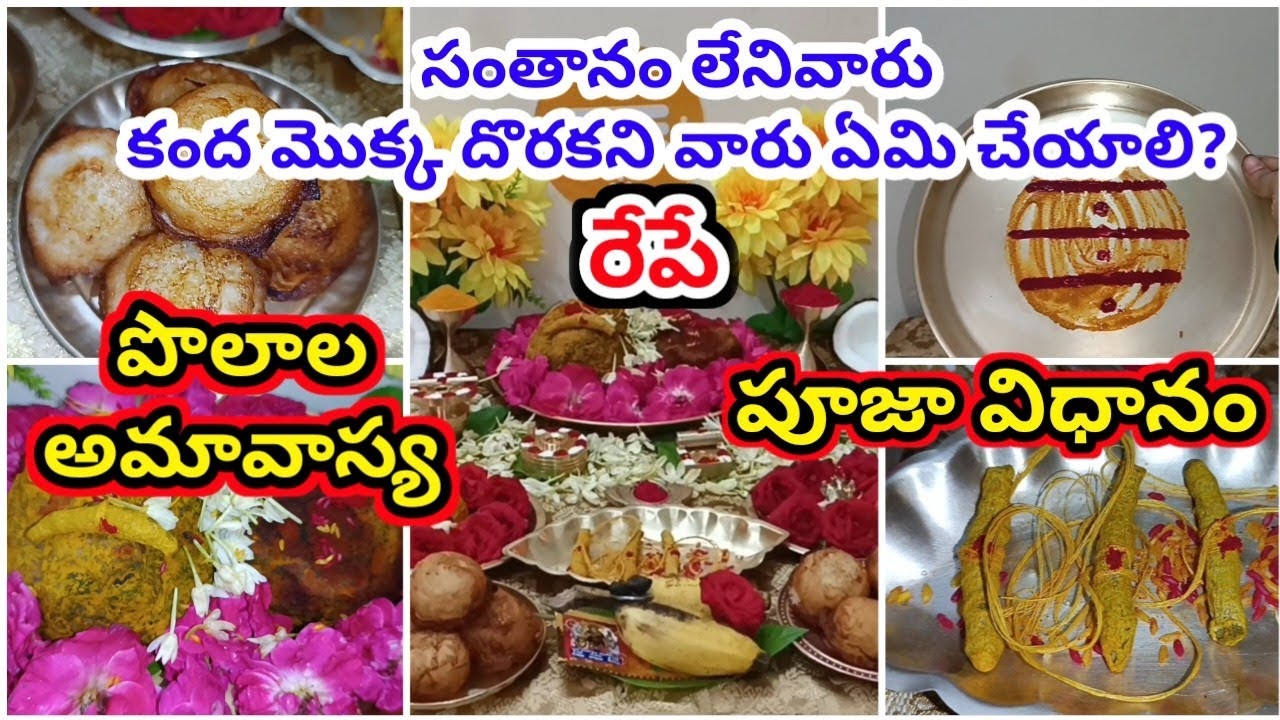 Polala Amavasya 2024 Pooja Vidhanam and Rituals