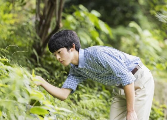 Prince Hisahito Turns 18 A Major Milestone for Japan's Royal Family