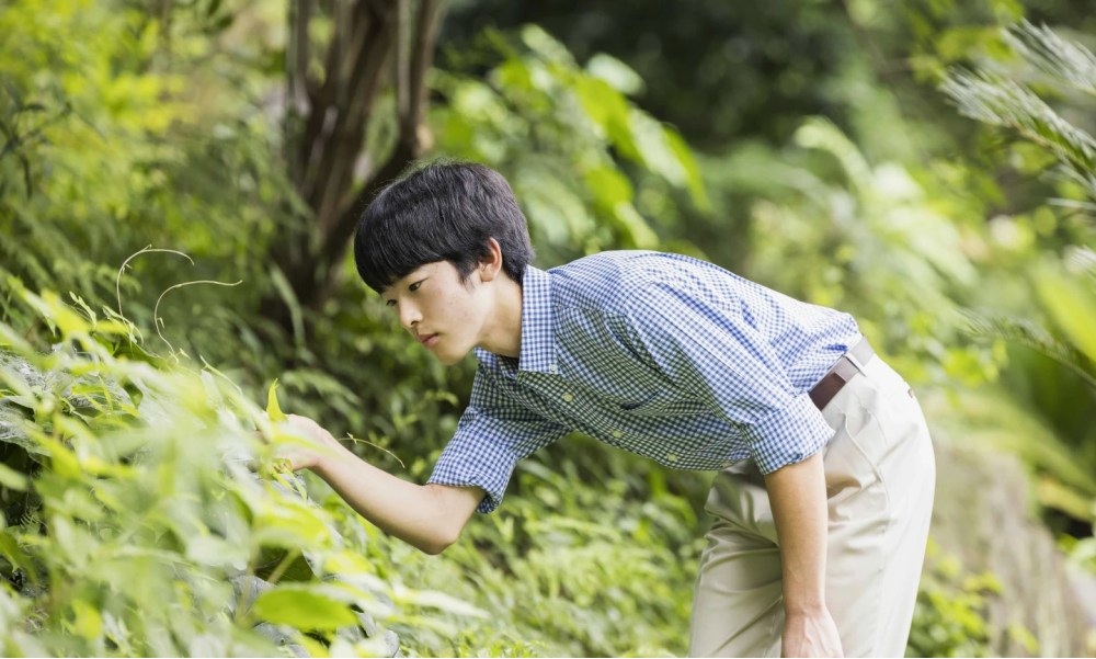 Prince Hisahito Turns 18 A Major Milestone for Japan’s Royal Family