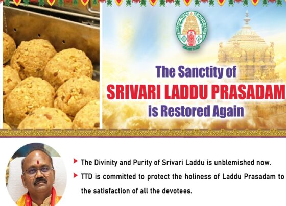 Introduction: The Importance of Srivari Laddu Prasadam Srivari Laddu Prasadam is more than just a delicacy; it is an emblem of devotion and spiritual significance that is cherished by millions of devotees visiting the Tirumala Venkateswara Temple in Andhra Pradesh. As the most sought-after prasadam (religious offering) in India, it holds immense cultural and spiritual value. However, in recent times, there were concerns about the sanctity and authenticity of this revered offering. Thanks to renewed efforts by temple authorities and devotees, the purity and holiness of Srivari Laddu Prasadam have been successfully restored. Historical Importance of Srivari Laddu Prasadam The history of Srivari Laddu Prasadam dates back to centuries and is deeply intertwined with the traditions of the Tirumala Temple. Prepared as an offering to Lord Venkateswara, this laddu is considered sacred. Devotees believe that consuming the prasadam brings blessings and good fortune, making it a highly treasured part of the pilgrimage experience. The preparation process of the laddu has always been meticulous, adhering to strict religious guidelines. Ingredients like pure ghee, flour, sugar, and cardamom are carefully measured and cooked in a manner that ensures purity. Every step, from preparation to distribution, has religious rituals associated with it, making Srivari Laddu an embodiment of devotion. Challenges Faced: Issues Impacting the Laddu’s Sanctity Over the past few years, there were several concerns regarding the purity and sanctity of Srivari Laddu Prasadam. Some of the issues reported included the use of substandard ingredients, mismanagement in distribution, and counterfeit laddus being sold outside the temple premises. These problems raised questions about whether the laddu was retaining its sacred essence, sparking worries among devotees and religious authorities. The commercial exploitation of this sacred prasadam led to unauthorized vendors selling counterfeit laddus, which diluted its spiritual significance. Devotees, unaware of the fake products, would purchase these counterfeit offerings, diminishing the divine connection they sought during their pilgrimage. Efforts to Restore the Sanctity of Srivari Laddu Prasadam Acknowledging the seriousness of the situation, the Tirumala Tirupati Devasthanams (TTD), the governing body of the temple, took swift and comprehensive measures to restore the authenticity and sanctity of the laddu prasadam. The first step involved revisiting the procurement of ingredients, ensuring that only the finest and purest ghee, flour, and other ingredients were used in the preparation. The TTD also tightened security measures around the production and distribution of the laddus. Authorized staff members were given strict instructions, and the use of technology was introduced to monitor every stage of the production process. By ensuring that no unauthorized personnel were involved, they successfully curbed the production of counterfeit laddus. Additionally, the TTD took legal actions to prevent the sale of fake laddus outside the temple premises. Devotees were educated on how to identify the authentic Srivari Laddu Prasadam, and a concerted effort was made to maintain the temple's reputation for providing a spiritual experience of the highest integrity. The Role of Devotees in Upholding the Sanctity While the temple authorities played a pivotal role in reclaiming the purity of the Srivari Laddu Prasadam, the devotees also had an important part to play. By staying vigilant and ensuring they only received the prasadam from authorized sources, devotees contributed to safeguarding the sanctity of the laddu. Awareness campaigns were launched by the temple authorities to inform devotees about the risks of purchasing counterfeit laddus. Pilgrims were educated on recognizing the authentic packaging and the importance of obtaining the prasadam only from designated counters within the temple complex. These efforts ensured that the spiritual value of the laddu remained intact, and pilgrims continued to trust its sanctity. Impact of Restoring the Sanctity: Reaffirming Faith and Devotion The restoration of the Srivari Laddu Prasadam's sanctity has had a profound impact on devotees and the temple itself. With renewed confidence in the authenticity of the laddu, pilgrims once again feel a deep spiritual connection when receiving and consuming the prasadam. The temple authorities' swift action in addressing concerns reassured devotees that their devotion and faith were being honored. This restoration also reinforced the importance of maintaining religious practices and upholding the sanctity of sacred offerings in temples. It served as a reminder that, while modernization and commercialization have their place, they should not compromise the spiritual essence of religious traditions. Future Measures to Protect the Srivari Laddu Prasadam To prevent future disruptions in the purity of Srivari Laddu Prasadam, the TTD has established long-term measures that ensure continuous monitoring of the laddu’s preparation and distribution process. The temple management has embraced a combination of traditional and modern practices to safeguard the sanctity of this prasadam for future generations. One of the key steps includes adopting advanced technology such as blockchain to track the supply chain of ingredients, ensuring transparency at every stage of production. This will make it easier to maintain the authenticity and quality of the laddu, leaving no room for malpractices or the use of substandard ingredients. The temple authorities are also working on creating a sustainable model where devotees can pre-book their laddu prasadam through the temple's official website, reducing the likelihood of counterfeit laddus being sold in the open market. By streamlining the entire process, the TTD aims to further solidify the trust between the temple and its devotees. Conclusion: A Sacred Tradition Preserved The restoration of the sanctity of Srivari Laddu Prasadam marks a significant victory for both the temple authorities and devotees. By taking swift and decisive action, the Tirumala Venkateswara Temple has successfully preserved a centuries-old tradition, ensuring that future generations can continue to partake in the spiritual and cultural richness associated with the prasadam. As one of the most revered offerings in India, Srivari Laddu Prasadam is not just a symbol of devotion but a testament to the enduring faith of millions. With its sanctity restored, it once again serves as a bridge between the divine and the devotees, fulfilling its role as a sacred blessing from Lord Venkateswara.
