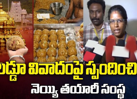 The Tirupati Laddoo, known for its sacred value and distinct flavor, has recently been at the center of a major controversy. Allegations surfaced that the ghee used in preparing the prasad contained animal fats, including fish oil and beef tallow. These claims have led to an intense debate, especially after the involvement of Tamil Nadu-based A R Dairy Food Private Limited, a supplier of ghee to the Tirumala Tirupati Devasthanams (TTD). However, A R Dairy has firmly denied these allegations, maintaining that the ghee they supplied was pure and met all necessary quality standards. A R Dairy Denies Allegations of Adulteration A R Dairy Food Private Limited, based in Dindigul, Tamil Nadu, has strongly refuted any claims of adulterating the ghee supplied to the Tirupati temple. According to the company's quality control head, there is no evidence linking the alleged contaminated ghee sample to their company. The ruling Telugu Desam Party (TDP) in Andhra Pradesh had made lab reports public, claiming the presence of animal fats in the ghee used to prepare the laddoos, but A R Dairy insists that these reports do not point to their products. The company has highlighted several factors to support their stance. First, the National Dairy Development Board (NDDB) lab test results, which were at the heart of the controversy, do not specifically identify A R Dairy as the source of the contaminated ghee. Furthermore, the NDDB report suggests the possibility of false-positive results, adding another layer of doubt to the accusations. Traces of Foreign Fat: Understanding the Possibilities In response to the allegations, A R Dairy's quality control team explained that various factors could contribute to traces of foreign fat being found in ghee. For example, cow feed can sometimes contain materials that may affect the composition of the ghee produced from the milk. The company emphasized that the ghee they supplied to the TTD in June and July was thoroughly tested, and the temple authorities only accepted the products after receiving satisfactory test results. The dairy company ceased supplying ghee to the temple after July when the TTD changed its vendors. A R Dairy clarified that they have no control over what happened after their last delivery and that their ghee was only one part of the supply chain, with multiple suppliers providing ghee for the temple's prasad preparation. A R Dairy’s Stand: No Animal Fat in Ghee A R Dairy has firmly stood by its claim that the ghee samples tested could not have come from their company. The Managing Director of A R Dairy, Rajasekaran Raju, voiced his confidence in the quality of their product, stating that there is "no possibility of animal fat in the ghee" they supplied. He also pointed out that the Tirupati temple did not solely rely on A R Dairy for its ghee requirements. In fact, they were only one of several suppliers, providing a limited quantity. “We are not the major supplier,” Rajasekaran Raju explained. “We supplied only four tankers of ghee and stopped after receiving a report about quality issues. Additionally, the temple used ghee from other vendors in the laddoo prasad preparation.” The Forensic Science Laboratory Report: Questions Remain The controversy heightened when the Andhra Pradesh government, led by TDP General Secretary Nara Lokesh Naidu, announced that forensic tests detected the presence of animal fats in the ghee. However, A R Dairy has consistently challenged the accuracy of these test results. Rajasekaran Raju argued that the Forensic Science Laboratory (FSL) report is flawed and that A R Dairy has its own independent test results to prove the purity of their ghee. The company also stated that they received communication from the TTD regarding the matter and responded promptly, but have yet to receive an official acknowledgment from the temple authorities. This lack of response has raised concerns about how the situation has been handled, with A R Dairy calling for greater transparency in the investigation process. A R Dairy’s Commitment to the Tirupati Temple A R Dairy's relationship with the Tirupati temple goes beyond a simple business transaction. Rajasekaran Raju explained that their supply of ghee to the temple was a form of indirect donation. “We never overcharged the Tirupati temple for the ghee,” he said. “Instead of making a direct donation, we managed the cost of the ghee to offer it as an indirect contribution to the temple.” This gesture highlights A R Dairy’s long-standing commitment to the temple and its practices. The company has expressed disappointment at the accusations, asserting that their role in supplying ghee has always been one of respect and reverence for the temple and its devotees. Conclusion: The Road Ahead for A R Dairy and Tirupati Temple The Tirupati laddoo ghee controversy has left many questions unanswered, but A R Dairy has maintained a clear and consistent position: the ghee they supplied was not adulterated, and any claims to the contrary are unsubstantiated. While the controversy has cast a shadow over the temple’s sacred prasad, the dairy company is hopeful that further investigations will clarify the situation. A R Dairy’s call for transparency and their willingness to cooperate with authorities suggests that the company is confident in its practices and the quality of its products. As the investigation continues, the focus will likely remain on identifying the true source of the contamination and ensuring that the sanctity of the Tirupati laddoo is preserved. For now, the controversy serves as a reminder of the importance of rigorous quality control and transparent communication in the production of food that holds both spiritual and cultural significance.