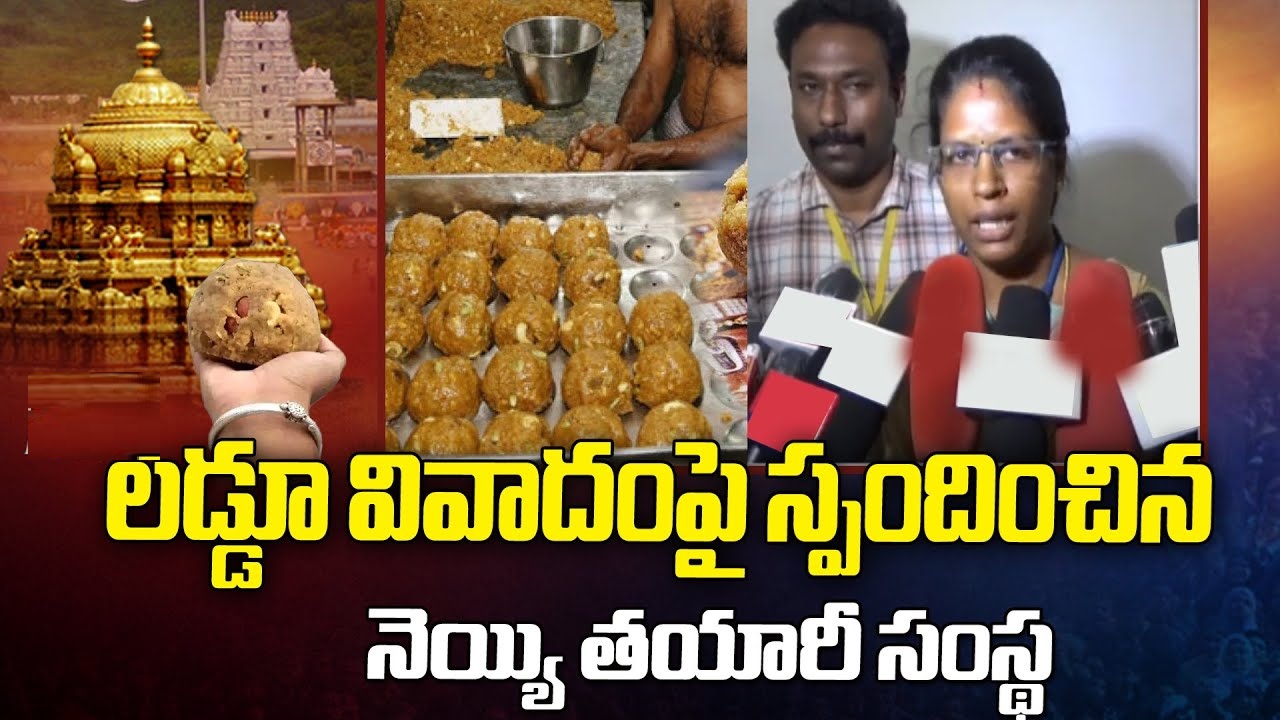 Tirupati Laddoo Ghee Controversy A R Dairy Firm Denies Allegations of Adulteration