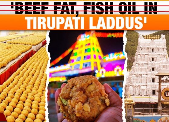 In a surprising turn of events, a recent laboratory report has brought to light troubling revelations regarding the famous Tirupati Laddu Prasad, offered at the revered Shri Venkateswara Temple in Tirupati, Andhra Pradesh. According to the report, there are claims that beef fat, fish oil, and palm oil have been used in the preparation of these sacred sweets, leading to widespread shock and controversy. These allegations have sparked a heated political debate, with the Andhra Pradesh Chief Minister, N. Chandrababu Naidu, raising concerns about the use of substandard ingredients during the previous government's administration. Allegations of Animal Fat in Tirupati Laddu The Tirupati Laddu is an iconic offering at the Shri Venkateswara Temple, considered sacred by millions of devotees who visit the temple each year. As a consecrated sweet, it is revered and holds deep religious significance for Hindus. The claim that ingredients such as beef fat and fish oil have been used in its preparation has understandably created outrage among devotees and the general public. On Wednesday, Andhra Pradesh Chief Minister N. Chandrababu Naidu made a bold accusation, stating that substandard ingredients, including animal fat, were allegedly used in the laddu preparation during the tenure of the previous Yuvajana Sramika Rythu Congress Party (YSRCP) government. This revelation has called into question the quality control measures in place and has raised concerns over the sanctity of the Prasad offered to devotees. Political Backlash and Denial by YSRCP The accusations made by Chief Minister Naidu have been met with immediate denial by the YSRCP, which categorically rejected the claims. A spokesperson from the party labeled the accusations as politically motivated, aiming to tarnish the image of the previous government. They emphasized that the YSRCP has always maintained the highest standards in ensuring the purity and sanctity of the Tirupati Laddu. Despite the strong denial, the controversy continues to brew, as many questions remain unanswered. The laboratory report that allegedly found traces of beef fat, fish oil, and palm oil has yet to be fully scrutinized, and calls for further investigation have been growing louder. The Importance of the Tirupati Laddu The Tirupati Laddu holds a special place in the hearts of devotees, not only for its religious significance but also for its unique preparation. Made from ingredients such as gram flour, ghee, sugar, and dried fruits, the laddu is prepared in a traditional manner passed down through generations. The temple authorities take great pride in maintaining the quality and purity of the ingredients used in its preparation. For many, the laddu is more than just a sweet—it is considered a blessed offering from Lord Venkateswara. Devotees believe that consuming the Prasad brings blessings and divine grace. Therefore, the allegations of impure ingredients have struck a sensitive chord, causing widespread concern and disappointment. Lab Report Findings and Need for Transparency The lab report, which allegedly detected the use of animal fat and fish oil in the laddus, has raised serious questions about transparency and accountability. If proven true, this would not only damage the reputation of the temple but also affect the faith of millions of devotees who revere the Tirupati Laddu as a sacred offering. However, it is crucial to approach these claims with caution. Lab reports can be subject to scrutiny, and the presence of such ingredients needs to be confirmed through thorough investigations. The temple authorities, along with government officials, must take immediate steps to address these concerns and ensure that the truth is brought to light. Public Reaction and Demand for Accountability As news of the lab report findings spread, the public reaction has been swift and strong. Many devotees have expressed their shock and disbelief at the allegations, calling for a transparent investigation into the matter. Social media platforms have been flooded with demands for accountability, with people voicing their concerns over the potential breach of religious sanctity. Religious leaders and organizations have also joined the conversation, urging the temple authorities and government to take swift action to clarify the situation. The sentiment among many is that the sacredness of the Prasad must be preserved at all costs, and any attempt to compromise its purity should be met with strict consequences. The Role of Government and Temple Authorities