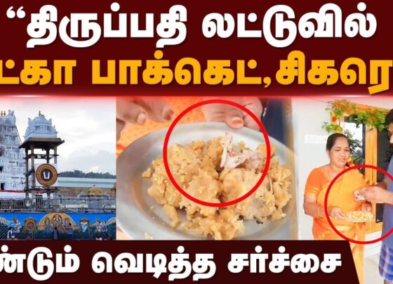 A shocking discovery by a devotee has stirred fresh controversy around the renowned Sri Venkateswara temple in Tirupati. The devotee claimed that she found tobacco wrapped in paper inside the sacred Tirupati laddu, a prasadam (religious offering) distributed at the temple. This incident adds fuel to the ongoing debate surrounding the purity of the laddu, following allegations of animal fat contamination. Tobacco Found in Tirupati Laddu: A Devotee’s Revelation A woman from Andhra Pradesh shared a disturbing experience that has raised serious concerns among millions of devotees. On her visit to the Tirupati temple on September 19, she received the iconic laddu prasadam. When she was about to distribute the laddu to her family and neighbors, she made an alarming discovery—tobacco wrapped in a small piece of paper inside the holy offering. The devotee, Donthu Padmavati from Khammam district, expressed her shock and disappointment, stating, "The prasadam is meant to be sacred. Finding tobacco in it is absolutely heartbreaking." Her words resonated with many devotees who cherish the laddu for its purity and spiritual significance. The Incident and Its Impact on Devotees The Tirupati laddu, known for its spiritual significance, is distributed to millions of pilgrims who visit the temple every year. The recent claims of contamination have left many devotees feeling distressed. Padmavati’s revelation comes at a sensitive time, as the temple is already under scrutiny due to a separate controversy involving animal fat in the laddus. The incident has sent shockwaves among devotees across Andhra Pradesh, casting doubts on the quality control measures at the Tirumala Tirupati Devasthanams (TTD), the governing body responsible for the temple. The prasadam, a symbol of purity and devotion, has been central to the religious experience at Tirupati, and any breach in its sanctity is bound to cause public outrage. Animal Fat Allegations: The Bigger Controversy This latest incident follows an ongoing political row that erupted after allegations of substandard ingredients being used in the preparation of the Tirupati laddus. Andhra Pradesh’s Chief Minister, Chandrababu Naidu, recently claimed that animal fat, including "beef tallow" and "lard" (pig fat), was found in the ghee used to prepare the laddus during the previous government’s administration, led by Jagan Mohan Reddy. Naidu cited a private lab report from Gujarat as evidence, which reportedly identified the presence of non-vegetarian elements, including beef and fish oil, in the laddus. These accusations have sparked widespread debate, with many questioning the credibility of the Tirumala Tirupati Devasthanams and their quality assurance practices. Denial of Allegations by Former Chief Minister Jagan Mohan Reddy The accusations have been strongly denied by former Chief Minister Jagan Mohan Reddy, who dismissed the claims as politically motivated. Reddy accused Naidu of "playing politics in the name of God" and labeled him a "habitual liar." According to Reddy, the allegations are baseless, and no violations in the preparation of the laddus occurred during his tenure. Despite the denial, the controversy continues to gain momentum, as religious sentiments are deeply intertwined with the politics of Andhra Pradesh. Many devotees and political figures have taken sides in the debate, turning what was initially a religious issue into a full-blown political battleground. Concerns Over Quality Control at Tirumala Tirupati Devasthanams (TTD) With both incidents—the discovery of tobacco in the laddu and the allegations of animal fat—surfacing within a short span of time, the credibility of the TTD has come under intense scrutiny. The temple management body is tasked with ensuring the purity and safety of the prasadam distributed to devotees. However, the recent claims have raised serious questions about whether proper quality control measures are in place. Many devotees now fear that the sanctity of the prasadam, a central aspect of their religious experience, is at risk. Social media platforms have also been flooded with reactions, as concerned devotees demand answers from the TTD regarding these troubling discoveries. Political Fallout and Public Reaction The growing controversy has not only stirred religious sentiments but has also had a significant political impact. The ruling and opposition parties in Andhra Pradesh are using the issue to score political points. Chandrababu Naidu’s allegations against the previous administration have heightened tensions, with both sides accusing each other of exploiting the faith of the people for political gain. Public reactions have been mixed. While some devotees express outrage over the alleged contamination, others remain skeptical of the claims, dismissing them as politically motivated propaganda. Meanwhile, religious leaders and temple authorities are being urged to take swift action to restore public confidence in the safety and sanctity of the Tirupati laddus. Conclusion: Preserving the Sacredness of Tirupati Laddu The discovery of tobacco in the laddu prasadam and the ongoing controversy surrounding animal fat allegations have cast a shadow over the revered Sri Venkateswara temple. For millions of pilgrims, the Tirupati laddu is more than just a sweet treat—it is a symbol of faith and devotion. Any question about its purity strikes at the heart of their religious beliefs. As the TTD grapples with these claims, it remains to be seen how they will address the concerns of devotees and restore trust in the temple’s offerings. Moving forward, it is essential that the temple management prioritize transparency and stricter quality control measures to ensure that the sacred laddu remains a true reflection of the divine.