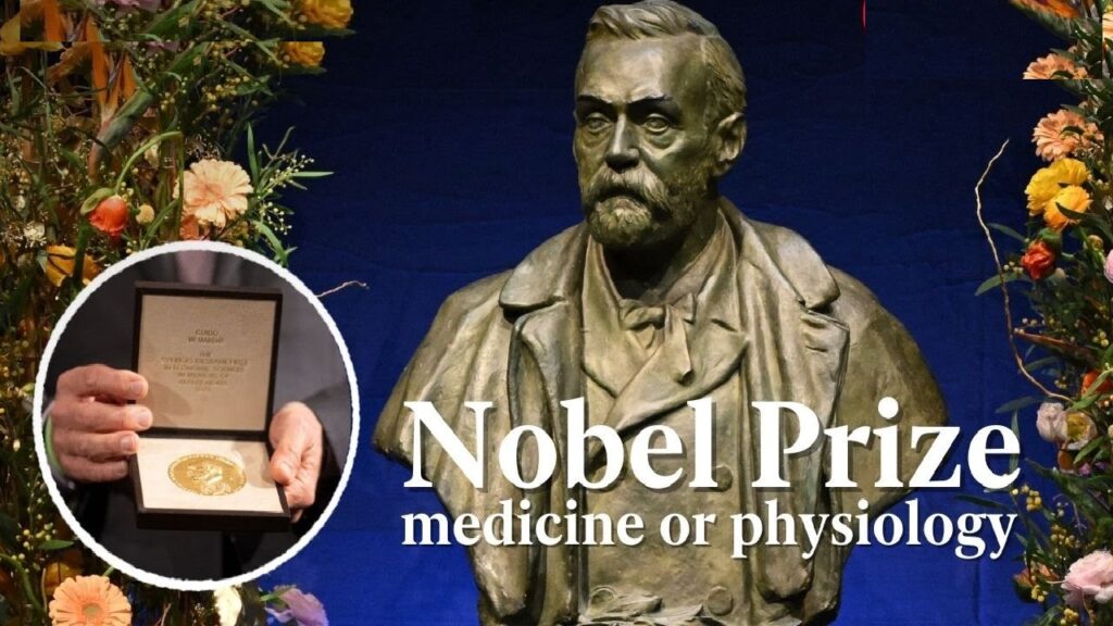 The 2024 Nobel Prize in Physiology or Medicine has been awarded to two prominent scientists, Victor Ambros and Gary Ruvkun, for their revolutionary work in the field of gene regulation. Their discovery of microRNA (miRNA) and its crucial role in post-transcriptional gene regulation has profoundly changed our understanding of biology. This groundbreaking achievement has led to major advances in medicine, including cancer research and treatments for genetic disorders. The Discovery of microRNA: A Milestone in Gene Regulation Victor Ambros and Gary Ruvkun have long been at the forefront of molecular biology, but their joint discovery of microRNA marked a significant turning point. microRNA, or miRNA, are small RNA molecules that do not code for proteins. Instead, they regulate the expression of genes after transcription, a process previously unknown. This discovery has opened new avenues in understanding how cells control gene expression, which is critical for development, disease prevention, and cellular functioning. The Nobel Assembly at Karolinska Institutet in Stockholm, Sweden, announced that Ambros and Ruvkun would share the prestigious award and a cash prize of 11 million Swedish kronor (equivalent to about £810,000). This achievement underscores the immense importance of miRNA in molecular biology, a topic that has captured global scientific attention since their discovery. microRNA’s Role in Medicine and Development Ambros and Ruvkun's research has shown that microRNA plays a vital role in regulating genes involved in cell division, differentiation, and apoptosis (programmed cell death). Their work has demonstrated that microRNAs can control genes associated with cancer, heart disease, and other genetic conditions, making their discovery a cornerstone for potential therapies. One of the most significant contributions of microRNA is its ability to modulate gene expression without altering the underlying DNA. This has sparked interest in how miRNA-based treatments can be developed to target specific diseases. For example, in cancer research, miRNAs are being studied as biomarkers for early detection and as therapeutic targets for reducing tumor growth. Recognition of Groundbreaking Work This year marks the 115th Nobel Prize in Physiology or Medicine since its inception in 1901. Among the 229 laureates in the field, only 13 have been women, highlighting the need for greater diversity in science. The Nobel Assembly at Karolinska Institutet lauded the duo’s discovery as being “fundamentally important for how organisms develop and function,” reinforcing the far-reaching implications of their research. As Nobel Committee Secretary General Thomas Perlmann stated during the announcement, "Ambros and Ruvkun's discovery of microRNA provides profound insights into how gene regulation works at a molecular level. This knowledge continues to pave the way for future developments in medical science and biotechnology." How microRNA Discovery Has Advanced the Field of Molecular Medicine The discovery of microRNA has not only impacted fundamental research but also inspired practical applications. One key area is its contribution to understanding complex diseases. For example, miRNAs have been identified as regulators in metabolic disorders, including diabetes, and as potential therapeutic agents in cardiovascular diseases. By targeting miRNAs, researchers hope to influence gene expression patterns that contribute to disease development. Additionally, miRNAs are now considered valuable biomarkers. Their stability in body fluids such as blood makes them ideal candidates for non-invasive diagnostic tests. This opens new possibilities for early detection of diseases like cancer and neurological disorders. As a result, pharmaceutical companies are increasingly investing in miRNA-based therapies, signaling a new era in personalized medicine. Last Year’s Nobel Prize in Medicine: The Role of mRNA in Vaccines In 2023, the Nobel Prize in Medicine was awarded to Katalin Karikó and Drew Weissman for their pivotal contributions to the development of mRNA vaccines. Their work enabled the rapid creation of vaccines against COVID-19, which proved to be instrumental in combatting the pandemic. The comparison of last year’s breakthrough in mRNA technology to this year’s recognition of miRNA research highlights the continuing evolution of RNA science and its transformative impact on human health. The Nobel Prize: Celebrating Scientific Excellence Since Alfred Nobel, the Swedish inventor and industrialist, established the Nobel Prizes, the awards have symbolized the pinnacle of scientific achievement. With the 2024 Nobel Prize in Medicine, the Nobel Assembly continues its tradition of recognizing groundbreaking work that pushes the boundaries of knowledge. Ambros and Ruvkun will officially receive their award on December 10, 2024, the anniversary of Alfred Nobel's death. This momentous occasion will celebrate not only their individual accomplishments but also the promise of a future where genetic research continues to revolutionize medicine. Looking Ahead: The Future of microRNA Research The work of Victor Ambros and Gary Ruvkun is only the beginning of a deeper exploration into the role of RNA molecules in biological processes. Future research will likely explore how microRNAs can be manipulated to treat genetic disorders