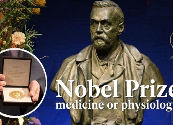 The 2024 Nobel Prize in Physiology or Medicine has been awarded to two prominent scientists, Victor Ambros and Gary Ruvkun, for their revolutionary work in the field of gene regulation. Their discovery of microRNA (miRNA) and its crucial role in post-transcriptional gene regulation has profoundly changed our understanding of biology. This groundbreaking achievement has led to major advances in medicine, including cancer research and treatments for genetic disorders. The Discovery of microRNA: A Milestone in Gene Regulation Victor Ambros and Gary Ruvkun have long been at the forefront of molecular biology, but their joint discovery of microRNA marked a significant turning point. microRNA, or miRNA, are small RNA molecules that do not code for proteins. Instead, they regulate the expression of genes after transcription, a process previously unknown. This discovery has opened new avenues in understanding how cells control gene expression, which is critical for development, disease prevention, and cellular functioning. The Nobel Assembly at Karolinska Institutet in Stockholm, Sweden, announced that Ambros and Ruvkun would share the prestigious award and a cash prize of 11 million Swedish kronor (equivalent to about £810,000). This achievement underscores the immense importance of miRNA in molecular biology, a topic that has captured global scientific attention since their discovery. microRNA’s Role in Medicine and Development Ambros and Ruvkun's research has shown that microRNA plays a vital role in regulating genes involved in cell division, differentiation, and apoptosis (programmed cell death). Their work has demonstrated that microRNAs can control genes associated with cancer, heart disease, and other genetic conditions, making their discovery a cornerstone for potential therapies. One of the most significant contributions of microRNA is its ability to modulate gene expression without altering the underlying DNA. This has sparked interest in how miRNA-based treatments can be developed to target specific diseases. For example, in cancer research, miRNAs are being studied as biomarkers for early detection and as therapeutic targets for reducing tumor growth. Recognition of Groundbreaking Work This year marks the 115th Nobel Prize in Physiology or Medicine since its inception in 1901. Among the 229 laureates in the field, only 13 have been women, highlighting the need for greater diversity in science. The Nobel Assembly at Karolinska Institutet lauded the duo’s discovery as being “fundamentally important for how organisms develop and function,” reinforcing the far-reaching implications of their research. As Nobel Committee Secretary General Thomas Perlmann stated during the announcement, "Ambros and Ruvkun's discovery of microRNA provides profound insights into how gene regulation works at a molecular level. This knowledge continues to pave the way for future developments in medical science and biotechnology." How microRNA Discovery Has Advanced the Field of Molecular Medicine The discovery of microRNA has not only impacted fundamental research but also inspired practical applications. One key area is its contribution to understanding complex diseases. For example, miRNAs have been identified as regulators in metabolic disorders, including diabetes, and as potential therapeutic agents in cardiovascular diseases. By targeting miRNAs, researchers hope to influence gene expression patterns that contribute to disease development. Additionally, miRNAs are now considered valuable biomarkers. Their stability in body fluids such as blood makes them ideal candidates for non-invasive diagnostic tests. This opens new possibilities for early detection of diseases like cancer and neurological disorders. As a result, pharmaceutical companies are increasingly investing in miRNA-based therapies, signaling a new era in personalized medicine. Last Year’s Nobel Prize in Medicine: The Role of mRNA in Vaccines In 2023, the Nobel Prize in Medicine was awarded to Katalin Karikó and Drew Weissman for their pivotal contributions to the development of mRNA vaccines. Their work enabled the rapid creation of vaccines against COVID-19, which proved to be instrumental in combatting the pandemic. The comparison of last year’s breakthrough in mRNA technology to this year’s recognition of miRNA research highlights the continuing evolution of RNA science and its transformative impact on human health. The Nobel Prize: Celebrating Scientific Excellence Since Alfred Nobel, the Swedish inventor and industrialist, established the Nobel Prizes, the awards have symbolized the pinnacle of scientific achievement. With the 2024 Nobel Prize in Medicine, the Nobel Assembly continues its tradition of recognizing groundbreaking work that pushes the boundaries of knowledge. Ambros and Ruvkun will officially receive their award on December 10, 2024, the anniversary of Alfred Nobel's death. This momentous occasion will celebrate not only their individual accomplishments but also the promise of a future where genetic research continues to revolutionize medicine. Looking Ahead: The Future of microRNA Research The work of Victor Ambros and Gary Ruvkun is only the beginning of a deeper exploration into the role of RNA molecules in biological processes. Future research will likely explore how microRNAs can be manipulated to treat genetic disorders