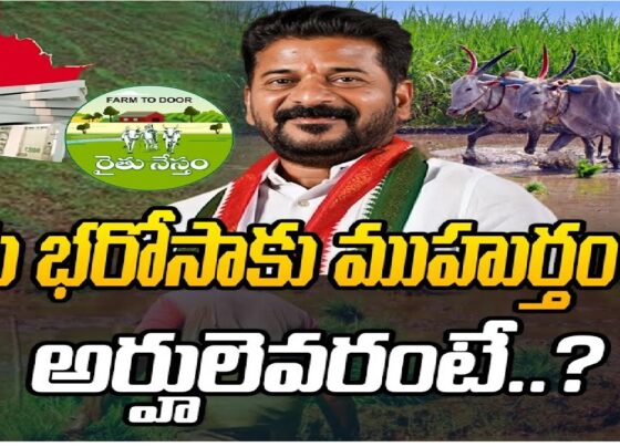 The Telangana Rythu Bharosa 2024 is a vital scheme aimed at providing financial assistance to farm laborers and small-scale farmers in Telangana. The announcement made by Telangana's Chief Minister, Revanth Reddy, marked a significant shift in the state's support for the agricultural community, ensuring that farm laborers receive direct aid. This initiative was notably absent from the CM’s planned Independence Day speech, making it an unexpected yet welcomed announcement during the parade at Golconda Fort. Objective of the Telangana Rythu Bharosa Scheme The Telangana Rythu Bharosa scheme primarily seeks to provide essential financial support to farm laborers who tirelessly work on the land but often receive little recognition or compensation. Under this scheme, farm laborers will be given Rs 12,000 in financial assistance annually. The goal is to alleviate some of the financial burdens faced by these laborers and ensure their well-being. Telangana’s Chief Minister made it clear that the scheme would be implemented with utmost transparency to benefit the laborers and boost the state's agricultural sector. Key Features of the Rythu Bharosa Scheme Farm Labor Assistance: Each eligible farm laborer will receive Rs 12,000 annually. Small and Marginal Farmers: Farmers who own small plots or lease land will also be eligible for financial support of Rs 15,000 per year. Bonus on Paddy Crops: In addition to the financial aid, farmers cultivating paddy will receive an additional Rs 500 per year. These measures ensure that not only the landowners but also the laborers and tenant farmers receive the necessary support to sustain their livelihood. Eligibility Criteria for the Telangana Rythu Bharosa 2024 To benefit from the scheme, applicants must meet the following criteria: Permanent Resident of Telangana: The beneficiary must hold residency in Telangana. Farmers: The program targets small and marginal farmers, as well as tenant farmers who lease land. Agricultural Laborers: Laborers involved in agriculture and forestry are also eligible. Ownership Proof for Tenant Farmers: Tenant farmers must provide documentation proving their rental agreement with the landowner. Financial Assistance Breakdown Small and Marginal Farmers: Eligible for Rs 15,000 per year in financial support. Tenant Farmers: Similar to small farmers, tenant farmers will receive Rs 15,000 annually. Agricultural Laborers: Farm laborers will receive Rs 12,000 in annual assistance. Paddy Crop Bonus: An additional Rs 500 will be provided when paddy crops are sold. These comprehensive financial aids aim to empower farmers and agricultural workers, boosting their income and promoting the agricultural economy in Telangana. How to Apply for Telangana Rythu Bharosa Scheme The application process for the Telangana Rythu Bharosa scheme is straightforward. Here’s how eligible farmers and laborers can apply: Visit Local Offices: Application forms are available at Municipal Corporation offices or Gram Sabha/Panchayat offices. Fill Out the Form: Complete the form with accurate details and ensure all necessary documents are attached. Submit Required Documents: These include proof of residency, land-related documents, Aadhar card, ration card, and contact information. Verification Process: Once submitted, the form and attached documents will be verified by the Department of Agriculture. Approval and Disbursement: Upon successful verification, the beneficiaries will be listed, and the financial aid will be transferred directly to their bank accounts. Documents Required for Telangana Rythu Bharosa Application Applicants must provide the following documents: Aadhar Card: Proof of identity. Residence Proof: Confirmation that the applicant is a resident of Telangana. Land-Related Documents: For farmers and tenant farmers, ownership or lease agreements must be submitted. Bank Account Details: To ensure the smooth transfer of financial aid. Crop Sales Proof: Especially for those cultivating paddy to avail of the bonus benefit. Ensure that both original and photocopies of these documents are ready for submission. Latest Updates on Telangana Rythu Bharosa During the Independence Day speech on August 15th, Chief Minister Revanth Reddy reiterated the state's commitment to the welfare of its farmers and laborers. The announcement of the Rs 12,000 aid for farm laborers was particularly well-received, as it directly addressed a segment of the agricultural workforce often overlooked in policy decisions. This scheme, if the Congress Party retains power in the upcoming elections, will be implemented with rigorous guidelines to ensure all eligible beneficiaries receive their due support. The aim is to create a robust support system that helps agricultural laborers and small farmers weather financial challenges. Impact of Rythu Bharosa on Telangana's Agricultural Sector With over 58 lakh farmers and 1.43 crore acres of agricultural land in Telangana, the Rythu Bharosa scheme is expected to make a significant impact. Approximately 55% of the state's population depends on agriculture for their livelihood. Therefore, the scheme’s financial assistance will not only help individual farmers and laborers but also bolster the overall agricultural economy. The scheme promises a stable income source for farm laborers, tenant farmers, and small landowners, ensuring they have the financial resources necessary for investing in seeds, equipment, and other agricultural needs. Conclusion The Telangana Rythu Bharosa 2024 scheme is a monumental step towards supporting farm laborers and small farmers, ensuring they receive adequate financial aid to sustain their livelihoods. By offering Rs 12,000 to laborers and Rs 15,000 to small farmers annually, along with bonuses for paddy farmers, the state government is creating a comprehensive support network for its agricultural workforce. This scheme is expected to uplift the state's economy by fostering a more prosperous and self-reliant agricultural sector.