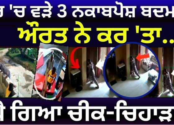 In a daring incident that resembles a scene straight out of an action movie, a brave woman in Amritsar single-handedly fought off three robbers who attempted to break into her home. The incident took place in the Verka area, where the woman’s quick thinking and courage thwarted the robbery attempt. The entire episode was caught on CCTV, and the footage has since gone viral on social media, captivating viewers with the woman's remarkable bravery. Rise in Robbery Incidents and Social Media Virality In recent times, there has been a noticeable increase in robbery cases, with many such incidents being captured on video and shared across social media platforms. This particular video from Amritsar has drawn widespread attention and admiration for the woman’s courage, as she fearlessly confronted three robbers and prevented them from executing their plan. The Robbery Attempt in Amritsar The attempted robbery occurred in the Star Avenue neighborhood of Amritsar’s Verka area. According to the CCTV footage, three robbers targeted the woman’s house, but their efforts were foiled when the woman bravely confronted them. The footage shows the robbers, who had planned to break in and loot the house, being stopped in their tracks by the woman’s courageous actions. The robbers, visibly shaken by the woman’s defiance, were unable to carry out their plan, and the entire incident was recorded on the home’s security cameras. The video, now viral, has been compared to dramatic scenes from action-packed films, showing the woman’s incredible resolve as she faced off against multiple intruders. Woman's Quick Thinking and Heroism on Display The viral CCTV footage clearly shows the moment the woman noticed the robbers trying to enter her home. Acting swiftly, she ran towards the door and used all her strength to close and secure the gate. The robbers desperately tried to force the door open, but the woman’s determination proved too strong for them. As the video progresses, the woman’s children can be heard responding to her cries for help, running toward the scene to assist their mother. In a clever move, the woman dragged a sofa in front of the door to block any further attempts by the robbers to break in. She then grabbed her phone and made a call for help. Fortunately, by this time, the robbers had fled the scene. Viral Video Sparks Praise for Woman's Bravery The video quickly spread across social media platforms, with netizens reacting enthusiastically to the woman's bravery and quick thinking. Many users praised her for standing up to the robbers without hesitation and lauded her ability to protect her home and children in the face of danger. The overwhelming response to the video has been one of admiration, with many calling the woman’s actions heroic. The way she handled the situation, confronting not one but three attackers, has garnered widespread praise from people all over the country. Police Investigation Underway The local police have now taken the CCTV footage as crucial evidence and have launched an investigation into the attempted robbery. While the robbers’ plan was unsuccessful, the incident has left the family shaken. Despite the woman’s courageous actions, which ensured the safety of her children and prevented any valuable items from being stolen, the family remains under emotional stress. The police are continuing their efforts to identify and apprehend the robbers, while the video continues to circulate on social media, serving as a reminder of the importance of home security and the power of individual courage in the face of danger. Conclusion: A Story of Bravery and Inspiration This incident in Amritsar stands as a powerful testament to human bravery and resilience. The woman’s courageous actions not only saved her family from potential harm but also inspired countless people who have seen the viral video. In a world where such incidents can often end tragically, this story is a reminder of the strength that can arise from quick thinking and sheer determination. As the investigation continues, this Amritsar woman remains a symbol of fearlessness, showing that even in the most daunting situations, one person's bravery can make all the difference.