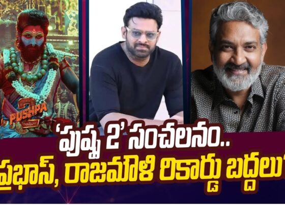 Pushpa 2 Breaking Records and Fans Rejoice Worldwide