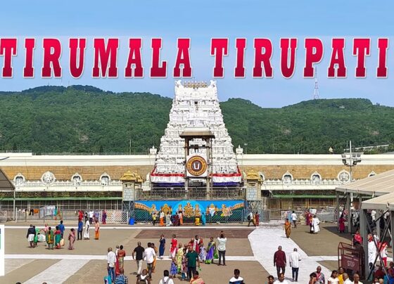 Tirupati, one of India's most revered pilgrimage destinations, carries centuries of myth, devotion, and historical significance. Located in the southern state of Andhra Pradesh, Tirupati's famous temple atop the seven sacred hills, known as Tirumala, attracts millions of pilgrims annually. While some visit to seek blessings, others delve deeper into the rich history, legends, and diverse traditions surrounding the Lord Venkateswara, worshiped at the temple. The Legends Behind Tirupati: A Tryst with Divinity Tirupati, or Thiru-Venkadam, derives its name from the Tamil words meaning "Holy Venkatam." According to ancient Puranic legends, the word "vem" relates to "vomit," symbolizing the act of purging sins at the base of the Tirumala hills. Before beginning the spiritual and physical ascent, pilgrims are said to metaphorically and literally rid themselves of their burdens and negative thoughts. This cleansing act ties into the spiritual journey to visit Lord Venkateswara, who chose these sacred hills as his dwelling after growing disillusioned with his heavenly abode. Believers chant daily prayers like "Sri Vaikunta Viraktaya Swami Pushkarini Tatey," emphasizing Venkateswara's rejection of heaven in favor of Tirumala. For many, this parallels their own pilgrimage, a retreat from the stress of daily life to seek peace and spiritual solace in the hills. Venkateswara: The Deity of Multiple Forms The figure of Venkateswara is unique. While most consider him an incarnation of Lord Vishnu, many see aspects of other deities in him. Some legends describe him as a young man who falls in love and marries Padmavati, a princess linked to the earth and sky. Padmavati's father, Akasha Raja, was believed to be a Chola king, symbolizing the union of the heavens and the earth through this divine marriage. Padmavati is also referred to as Alarmel Manga or Alamelu, evoking the imagery of the lotus, an enduring symbol in Indian culture. The temple rituals honor Venkateswara's multifaceted nature, blending Vaishnava, Shaiva, Kaumara, and Shakta traditions. This integration suggests that Venkateswara is not just Vishnu but also embodies elements of Shiva, Subramanya, and Durga. The presence of lion statues, sacred to Durga, guarding the inner sanctum, highlights this fusion. The Chola Dynasty and Tirupati: Patronage and Devotion Historically, the Chola dynasty played a vital role in the development of Tirupati as a major religious site. Chola kings, queens, and princesses, particularly from 1,500 years ago, were devoted patrons. The bronze "utsava murti" statues still in worship today were likely gifted by a Chola royal. At this time, Tamil devotional poetry flourished, and many "Alwars" – saint poets – wrote hymns dedicated to the Lord of Tirumala. The temple architecture also reflects this deep-rooted connection. Early records suggest that the Lord's statue was once visible from all sides, with the temple evolving over time to its current grandeur. One of the most sacred elements is the "Kulashekhara Padi," a step named after the poet-chieftain Kulashekhara Alwar, symbolizing the intertwining of the divine and the devoted. The Vijayanagara Empire and the Rise of Tirupati Tirupati's significance grew further under the Vijayanagara Empire. Emperor Krishnadevaraya, one of the most notable patrons, left his mark with over 200 inscriptions on the temple walls. The bronze statues of Krishnadevaraya and his queens stand in devotion at the outer enclosure, representing the ideal of royal patronage. The Vijayanagara rulers not only supported the temple but also contributed to a broader cultural renaissance, patronizing poets and scholars of multiple languages, including Telugu, Kannada, Tamil, and Sanskrit. This multilingual influence is still evident in Tirupati’s enduring appeal across regions. The British Era and the Establishment of the TTD Board During the colonial period, the East India Company (EIC) reluctantly assumed control of the temple after intervening in local disputes. A notable episode in the 1700s saw a Nawab's relative attempting to plunder the temple, but the EIC dispatched sepoys to protect the site. Over time, British officials, recognizing the importance of Tirupati, enacted rules to prevent any desecration of the shrine. In the 1920s, as part of broader reforms, the temple’s administration was placed under the Tirumala Tirupati Devasthanams (TTD) Board, which still oversees the temple today. Under the TTD, numerous improvements were made, including pilgrim facilities, reforestation efforts, and the establishment of hospitals, universities, and other institutions funded by temple revenues. The Poetic and Musical Legacy of Tirupati Tirupati’s significance extends beyond its physical and religious importance. Its spiritual influence has inspired countless poets and musicians. The Alwars’ Divya Prabandhams and Andal’s Tiruppavai are still recited in the temple. One of the most globally recognized aspects of Tirupati is the Suprabhatam, a devotional hymn that begins the day in the temple, popularized by the iconic voice of MS Subbulakshmi. Great composers like Annamacharya, Purandara Dasa, and Thyagaraja have immortalized Tirupati in their music. Annamacharya's hymns capture the divine romance between Venkateswara and Alarmel Manga, while Purandara Dasa’s compositions celebrate the sanctity of the Venkatachala hills. Thyagaraja, known for his devotion to Lord Rama, also acknowledged the connection between Rama and Venkateswara, weaving together the threads of devotion across deities. Tirupati Today: A Living Tradition