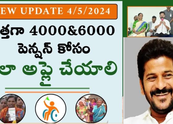 Aasara Pension Scheme 2024: Updated Beneficiaries and Pension Amounts The Aasara Pension Scheme continues to provide financial assistance to vulnerable groups in Telangana. Below is the updated data for 2024, including pension categories, amounts, and the number of beneficiaries. S.No Pension Category Pension Amount (₹) Number of Beneficiaries 1 Senior Citizens 4016 13,27,824 2 Widows 6016 15,33,837 3 Persons with Disabilities 6016 4,92,680 4 Handloom Weavers 4016 36,872 5 Toddy Tappers 4016 62,164 6 Beedi Workers 4016 4,07,374 7 Single Women 4016 1,33,936 8 HIV Patients 2016 32,718 9 Filariasis Patients 2016 14,907 10 Artists 2016 30,487 Total 38,42,312 Breakdown by Beneficiary Groups Senior Citizens: 13,27,824 beneficiaries receive ₹4,016 monthly. Widows: 15,33,837 beneficiaries receive ₹6,016 monthly. Persons with Disabilities: 4,92,680 beneficiaries receive ₹6,016 monthly. Handloom Weavers: 36,872 beneficiaries receive ₹4,016 monthly. Toddy Tappers: 62,164 beneficiaries receive ₹4,016 monthly. Beedi Workers: 4,07,374 beneficiaries receive ₹4,016 monthly. Single Women: 1,33,936 beneficiaries receive ₹4,016 monthly. HIV Patients: 32,718 beneficiaries receive ₹2,016 monthly. Filariasis Patients: 14,907 beneficiaries receive ₹2,016 monthly. Artists: 30,487 beneficiaries receive ₹2,016 monthly. District-Wise Distribution The total number of beneficiaries, 38,42,312, is distributed across all districts of Telangana, ensuring equitable support to all eligible individuals. Detailed district-wise data can be obtained from the official Telangana government website. This comprehensive update highlights the continued commitment of the Telangana government to support its vulnerable citizens through the Aasara Pension Scheme.