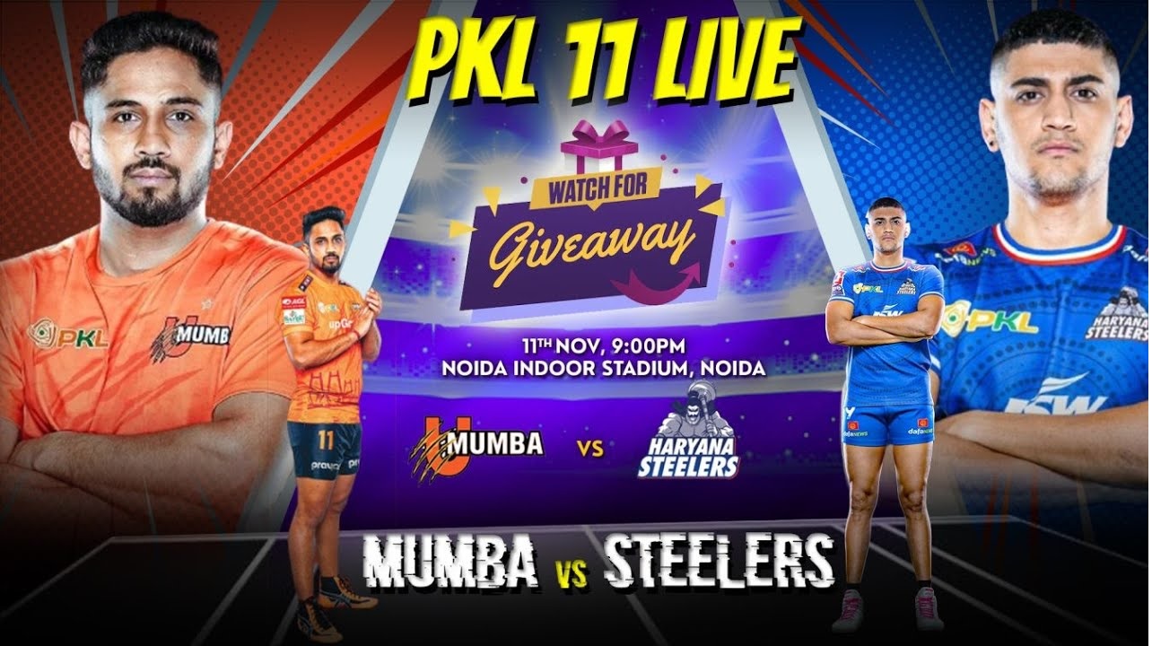 Haryana Steelers Driving Kabaddi’s Excitement in Pro Kabaddi League