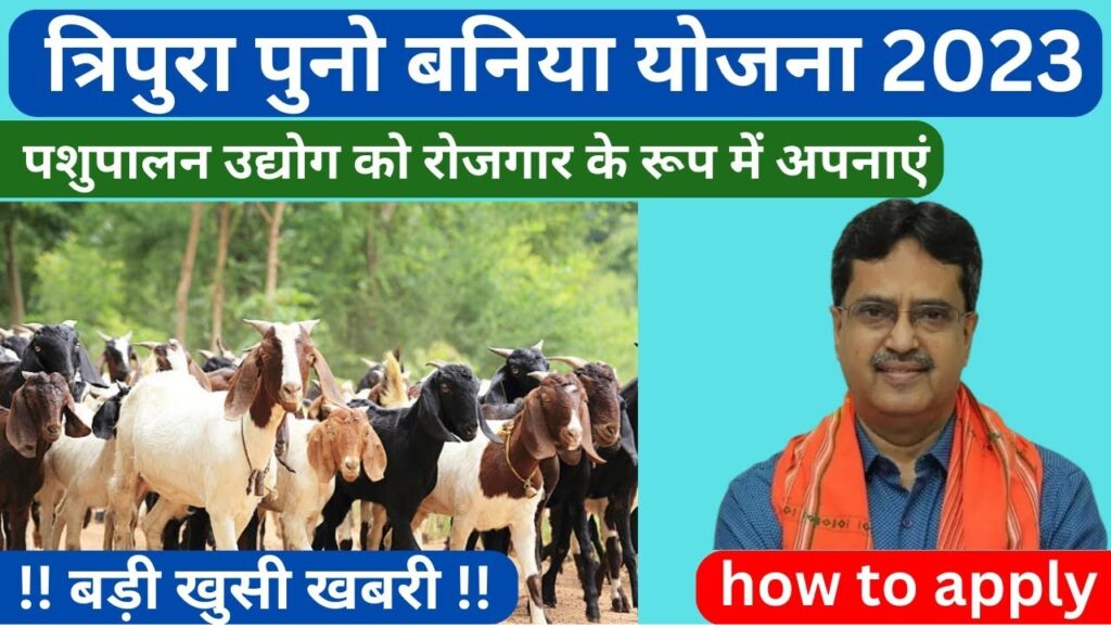 The Tripura Puno Baniya Scheme 2024 is a fantastic initiative aimed at changing the lives of unemployed tribal youth in Tripura by promoting goat farming as a viable occupation. This is yet another groundbreaking initiative jointly conceived of by the central and state governments which aims at providing financial resources for encouraging entrepreneurship development within the livestock industry. Considering the amount of money that is available for this scheme, it is clear that its pursuance will raise the socio-economic status of the tribal communities while stimulating the rate of economic growth in the province. What is the opportunity of the Tripura Puno Baniya Scheme 2024 for the targeted group amongst other objectives of the scheme? Term ‘Puno Baniya’ means ‘goat business’, which business forms the core focus of the scheme. The aim of the initiative is to enable tribal youth who are farmers and those who want to become goat farmers to become economically self sufficient by providing all the necessary support to them. Approved at a council meeting on July 15, 2022, between the Council of Ministers and Tribal Welfare Department, this scheme is situated as an integrated mechanism to resolve unemployment problem as well as to empower the tribal families. Key Objectives of the Scheme Promoting Economic Growth Among Tribal Communities This plan is set forth to try and raise the economic status of the tribal communities by exposing them to an economically viable and sustainable and goat business venture. Encouraging Entrepreneurship Because of this, linking financial assistance towards Self-Help Groups (SHGs) fosters individual thrift and credit culture for enhanced self-dependability. Reducing Unemployment Targeted at raising the employment levels of indigenous youth through plans for equipping the indigenous youth with means of increasing their earnings. Why Goat Farming? The advantage relates to the disease control side, which stems from the government’s goat farming strategy. Disease Resistance: Goats as an animal are resistant to a lot of diseases hence minimal chances of loss. Low Maintenance Costs: Goats do not require a lot of feeding and taking care of them as compared to other livestock hence cheaper. Quick Returns on Investment: The goats grow quickly and thus breed and farmers can start getting returns easily. Multipurpose Use: Not only is goats’ waste nutritious it can also be used as feed in aquaculture creating an additional income source. In this respect, goat farming is precisely ideal for the tribal youth of Tripura as it presents to them a low-risk and high-reward source of livelihood. Advantages of the Tripura Puno Baniya Scheme Financial Aid The applicants receive a sum of Rs. 2,51,000 in respect of each unit which comprises of the subsidy and the repayable loan offered to the beneficiaries on construction of the goat farm. Livestock Provision 12 goats (10 females and 2 males) are given to each beneficiary for commencement of their farming business. Easy Loan Repayment Plans The scheme provides 9 months preliminary period as ‘grace period’ during which no payment is due. This allows beneficiaries much time to set their business before they begin payment of the loan in easy recoverable EMIs. Subsidies and Grants Abundant subsidies are provided that solves most of the cost problems to the beneficiaries and even the less fortunate youth are able to afford goat farming. Support Through SHGs Implementation of the scheme through SHGs also ensures group responsibility and better management of finances. Eligibility Criteria To become a part of the Tripura Puno Baniya Scheme 2024, the following eligibility criteria must be satisfied. Have to be a permanent of Tripura. Be a member of a scheduled tribal. Be unemployed and committed to goat ranching. Be a member of Self-Help Group. Documents Required The documentation required to apply is as follows: National identity card (Aadhar card) or any other identification card. Tripura residency certificate. SHG membership verification. Mobile number and email Id. Passport-sized pictures. Application Procedure At present, the application process is undergoing final technical set-up and hence an official website is likely to be available within a short period of time. The website, once in operation, will assist the applicants in regard to submitting their details and supporting documents online. Keep an ear to the ground for announcements about the opening of the application portal. Government’s Perspective The 2024 Tripura Puno Baniya Scheme fits well into the government’s wider perspective of creating job opportunities while promoting self-sufficiency for tribal populations. The strategy targets enhancement of goat rearing to improve the contribution made by the livestock sector in the state while at the same time promoting environmentally friendly approaches. Summary of Key Features Feature Details Scheme Title 2024 Tripura Puno Baniya Scheme Intended Recipients Unemployed rural youths of Tripura Amount Loan Per Unit 2, 51, 000 Naira only Animals Supplied 12 goats (10 females and 2 males) Time Allowance for Loan Repayment 9 months allowance period Evaluation Period Will be announced in due course of time Frequently asked Questions (FAQs) What is the major aim of the scheme? The scheme targets the support provision for unemployed tribal youth in the state of tripura in terms of funding and logistics to encourage animal husbandry focusing on goat rearing. What is the level of Sponsors’ Financial assistance? To finance their goat farming business, each member of the SHG scheme is given a sum of two lakh fifty one thousand (251,000) which is a combination of a subsidy and a loan. What is the loan repayment period? Beneficiaries get a grace period of nine months after which they start repaying the loan in easy EMIs after getting income from the business. Why is this scheme focusing on goat farming? Goats farming do not require constant supervision, quickly provide returns, and have several applicable monetization avenues which makes it suitable for tribals in Tripura. How do I fill an application form? Moderation regarding the application process will be updated as soon as possible on the websites. Tripura Puno Baniya Scheme 2024 is a great opportunity for tribal youth of Tripura in gaining the tools of economic self sufficiency through goat farming. Once the application process starts, it is hoped that this initiative would mark the commencement of sustainable development and progress of the area