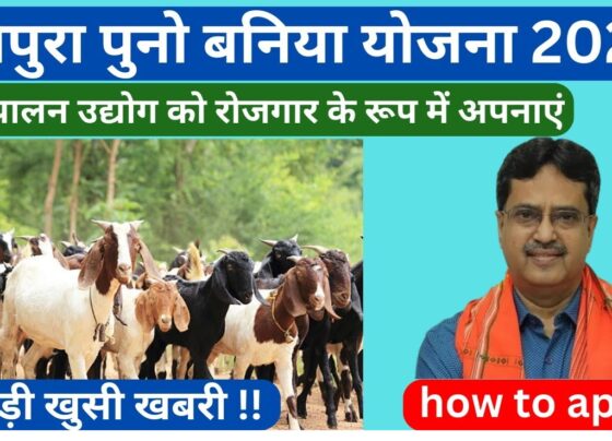 The Tripura Puno Baniya Scheme 2024 is a fantastic initiative aimed at changing the lives of unemployed tribal youth in Tripura by promoting goat farming as a viable occupation. This is yet another groundbreaking initiative jointly conceived of by the central and state governments which aims at providing financial resources for encouraging entrepreneurship development within the livestock industry. Considering the amount of money that is available for this scheme, it is clear that its pursuance will raise the socio-economic status of the tribal communities while stimulating the rate of economic growth in the province. What is the opportunity of the Tripura Puno Baniya Scheme 2024 for the targeted group amongst other objectives of the scheme? Term ‘Puno Baniya’ means ‘goat business’, which business forms the core focus of the scheme. The aim of the initiative is to enable tribal youth who are farmers and those who want to become goat farmers to become economically self sufficient by providing all the necessary support to them. Approved at a council meeting on July 15, 2022, between the Council of Ministers and Tribal Welfare Department, this scheme is situated as an integrated mechanism to resolve unemployment problem as well as to empower the tribal families. Key Objectives of the Scheme Promoting Economic Growth Among Tribal Communities This plan is set forth to try and raise the economic status of the tribal communities by exposing them to an economically viable and sustainable and goat business venture. Encouraging Entrepreneurship Because of this, linking financial assistance towards Self-Help Groups (SHGs) fosters individual thrift and credit culture for enhanced self-dependability. Reducing Unemployment Targeted at raising the employment levels of indigenous youth through plans for equipping the indigenous youth with means of increasing their earnings. Why Goat Farming? The advantage relates to the disease control side, which stems from the government’s goat farming strategy. Disease Resistance: Goats as an animal are resistant to a lot of diseases hence minimal chances of loss. Low Maintenance Costs: Goats do not require a lot of feeding and taking care of them as compared to other livestock hence cheaper. Quick Returns on Investment: The goats grow quickly and thus breed and farmers can start getting returns easily. Multipurpose Use: Not only is goats’ waste nutritious it can also be used as feed in aquaculture creating an additional income source. In this respect, goat farming is precisely ideal for the tribal youth of Tripura as it presents to them a low-risk and high-reward source of livelihood. Advantages of the Tripura Puno Baniya Scheme Financial Aid The applicants receive a sum of Rs. 2,51,000 in respect of each unit which comprises of the subsidy and the repayable loan offered to the beneficiaries on construction of the goat farm. Livestock Provision 12 goats (10 females and 2 males) are given to each beneficiary for commencement of their farming business. Easy Loan Repayment Plans The scheme provides 9 months preliminary period as ‘grace period’ during which no payment is due. This allows beneficiaries much time to set their business before they begin payment of the loan in easy recoverable EMIs. Subsidies and Grants Abundant subsidies are provided that solves most of the cost problems to the beneficiaries and even the less fortunate youth are able to afford goat farming. Support Through SHGs Implementation of the scheme through SHGs also ensures group responsibility and better management of finances. Eligibility Criteria To become a part of the Tripura Puno Baniya Scheme 2024, the following eligibility criteria must be satisfied. Have to be a permanent of Tripura. Be a member of a scheduled tribal. Be unemployed and committed to goat ranching. Be a member of Self-Help Group. Documents Required The documentation required to apply is as follows: National identity card (Aadhar card) or any other identification card. Tripura residency certificate. SHG membership verification. Mobile number and email Id. Passport-sized pictures. Application Procedure At present, the application process is undergoing final technical set-up and hence an official website is likely to be available within a short period of time. The website, once in operation, will assist the applicants in regard to submitting their details and supporting documents online. Keep an ear to the ground for announcements about the opening of the application portal. Government’s Perspective The 2024 Tripura Puno Baniya Scheme fits well into the government’s wider perspective of creating job opportunities while promoting self-sufficiency for tribal populations. The strategy targets enhancement of goat rearing to improve the contribution made by the livestock sector in the state while at the same time promoting environmentally friendly approaches. Summary of Key Features Feature Details Scheme Title 2024 Tripura Puno Baniya Scheme Intended Recipients Unemployed rural youths of Tripura Amount Loan Per Unit 2, 51, 000 Naira only Animals Supplied 12 goats (10 females and 2 males) Time Allowance for Loan Repayment 9 months allowance period Evaluation Period Will be announced in due course of time Frequently asked Questions (FAQs) What is the major aim of the scheme? The scheme targets the support provision for unemployed tribal youth in the state of tripura in terms of funding and logistics to encourage animal husbandry focusing on goat rearing. What is the level of Sponsors’ Financial assistance? To finance their goat farming business, each member of the SHG scheme is given a sum of two lakh fifty one thousand (251,000) which is a combination of a subsidy and a loan. What is the loan repayment period? Beneficiaries get a grace period of nine months after which they start repaying the loan in easy EMIs after getting income from the business. Why is this scheme focusing on goat farming? Goats farming do not require constant supervision, quickly provide returns, and have several applicable monetization avenues which makes it suitable for tribals in Tripura. How do I fill an application form? Moderation regarding the application process will be updated as soon as possible on the websites. Tripura Puno Baniya Scheme 2024 is a great opportunity for tribal youth of Tripura in gaining the tools of economic self sufficiency through goat farming. Once the application process starts, it is hoped that this initiative would mark the commencement of sustainable development and progress of the area